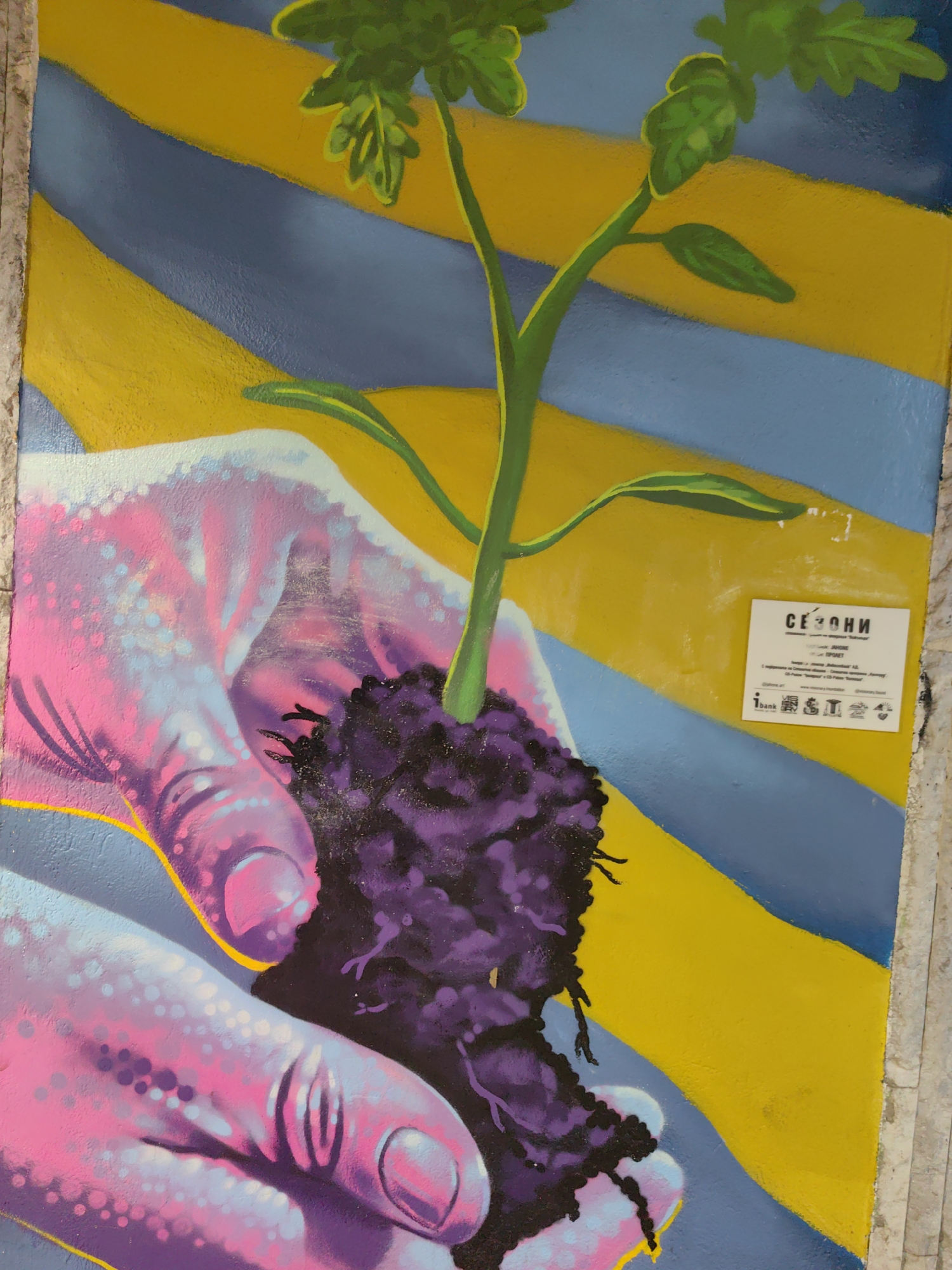 This is a photo of a street art mural, located in Sofia, Bulgaria. The mural depicts a pink and purple hand holding a plant with roots, against a background of alternating yellow and blue stripes. A white sign with black text and logos is adhered to the mural in the upper right quadrant. The edges of the mural are visible on the right and bottom, revealing a gray stone or concrete surface.