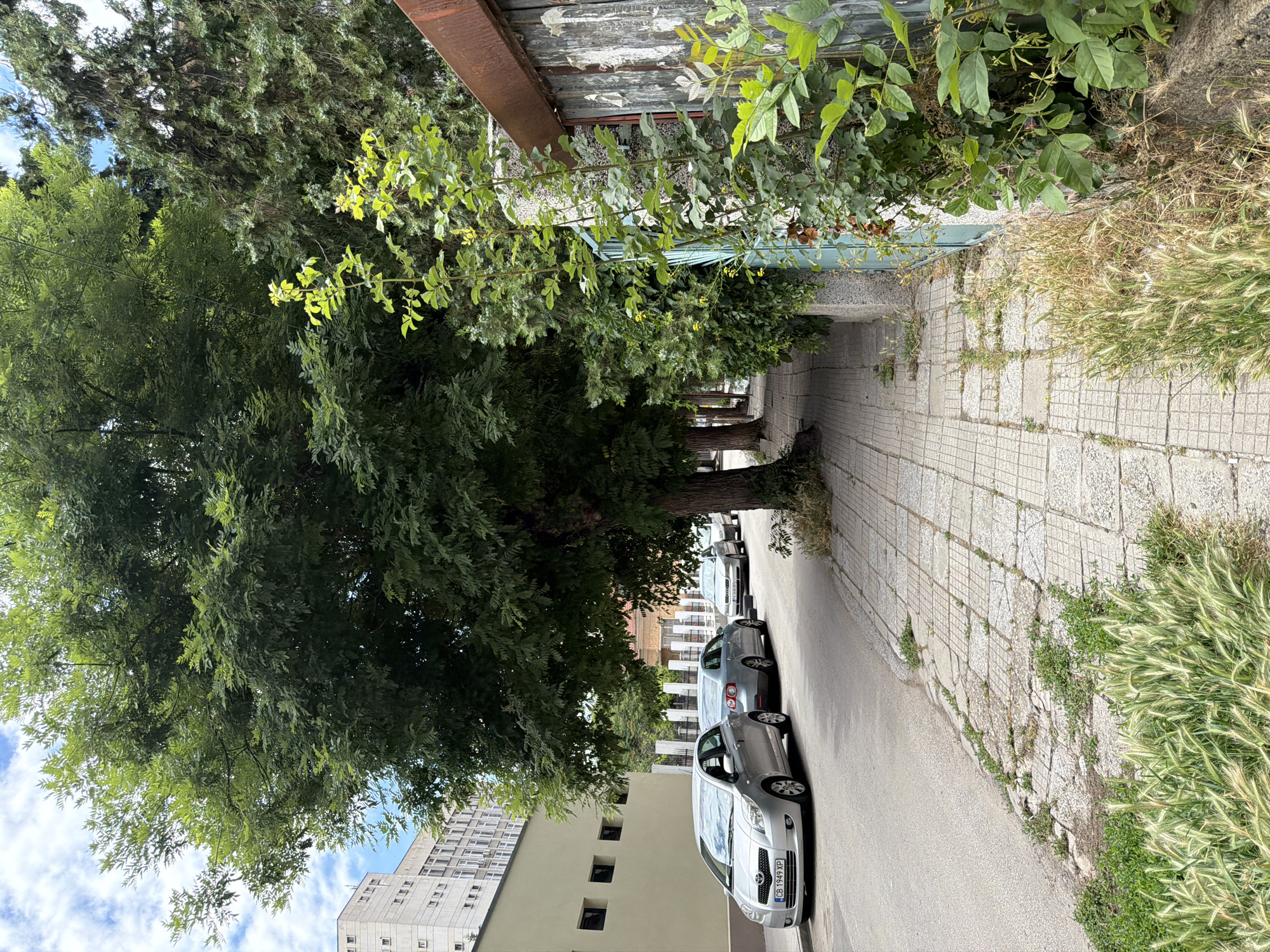 The image depicts a street scene in Pazardzhik, Bulgaria. On the left, a modern, multi-story building with a beige facade and numerous windows is visible. Adjacent to it, a row of parked cars, including a silver Toyota Yaris with the license plate "CB 1949 XP" and two other silver sedans, lines the street. A sidewalk paved with square tiles runs alongside the street, bordered by a large, leafy tree. To the right, a green metal gate and a weathered wooden fence are prominent. Lush vegetation, including tall grasses and leafy plants, grows along the sidewalk and next to the fence. In the background, more trees and buildings are visible, contributing to an urban environment. The sky is partly cloudy.