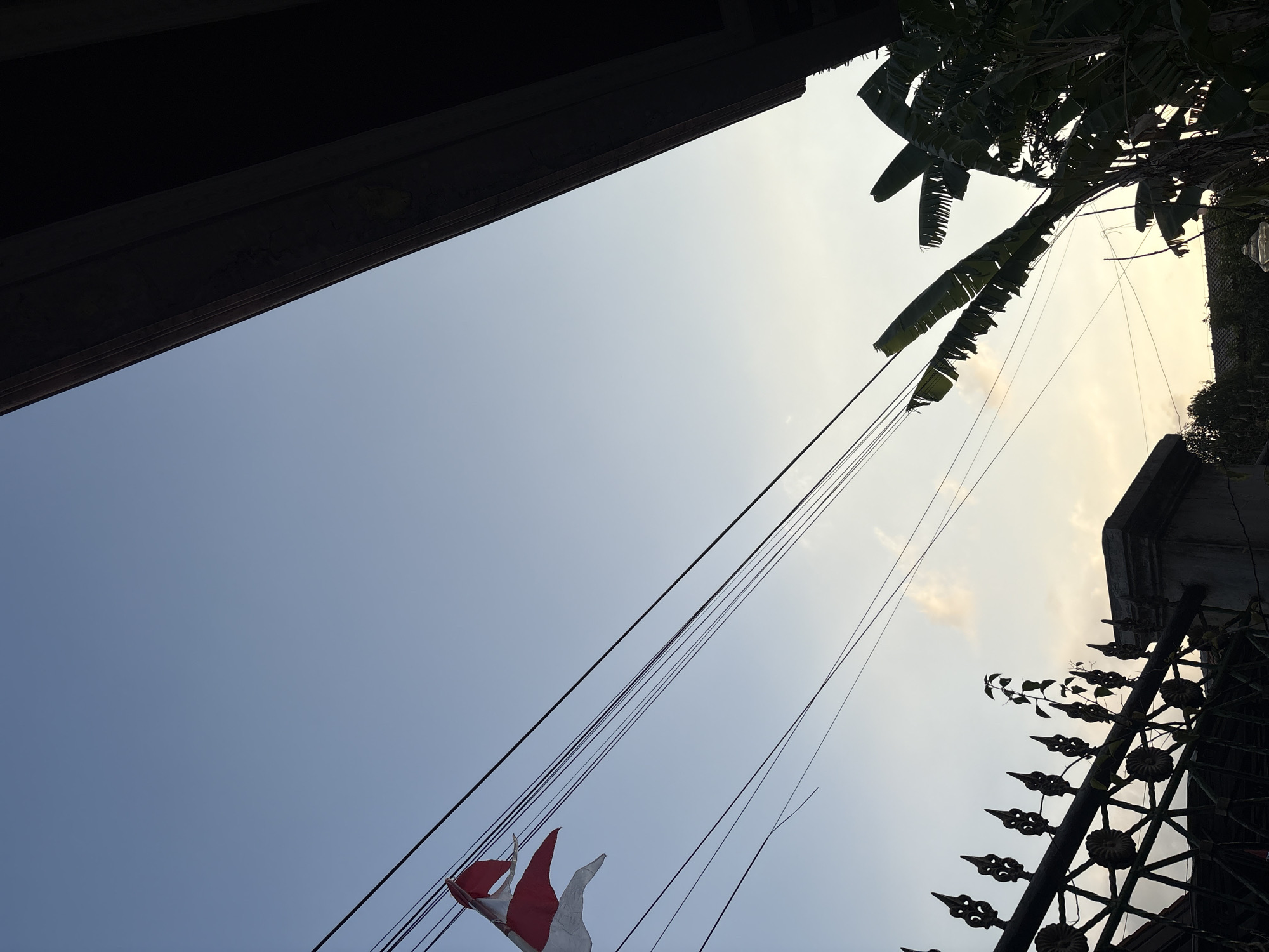 The image shows an outdoor scene with a clear sky, likely at dawn or dusk, as indicated by the soft lighting. In the upper left quadrant, a tattered red and white flag is visible, attached to wires. Multiple dark electrical wires crisscross the frame horizontally. On the right side, the dark silhouette of a building's roofline slopes downwards. In the lower part of the image, a decorative metal fence with pointed finials runs horizontally. To the right of the fence, a cluster of large, dark green banana leaves creates a dense silhouette. The overall impression is one of a residential or semi-urban environment. No people are visible in the image.