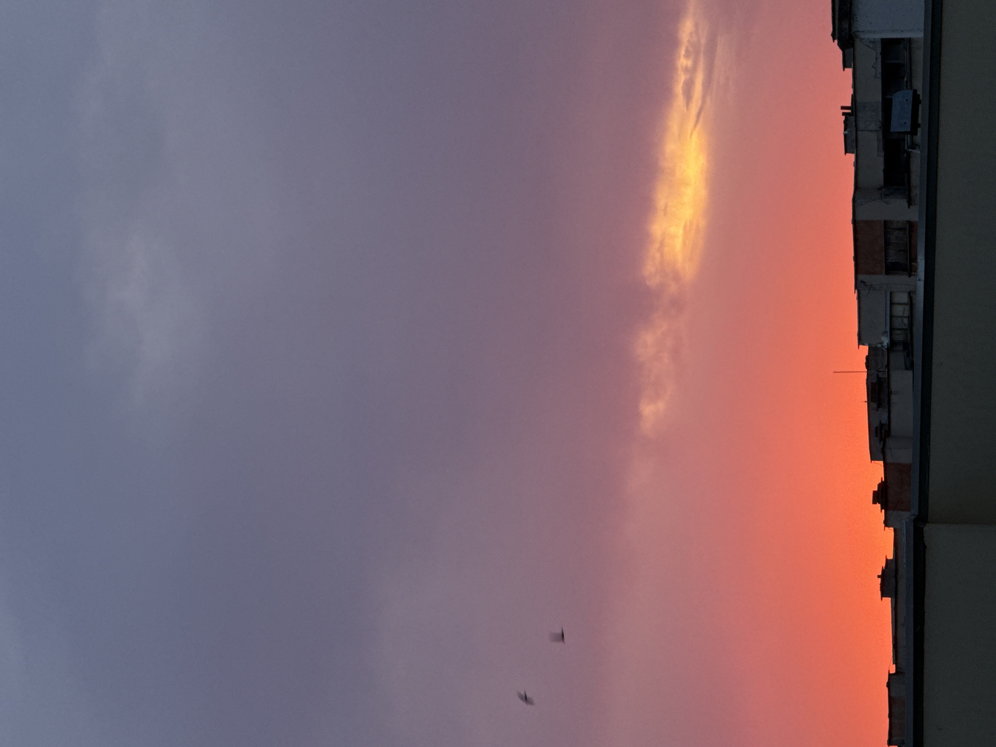 The image shows a dusk or dawn sky with hues ranging from dark gray-blue to orange-red. The right side of the frame features the silhouette of a building. Two birds are visible flying in the sky. The location may be Pleven, Bulgaria.