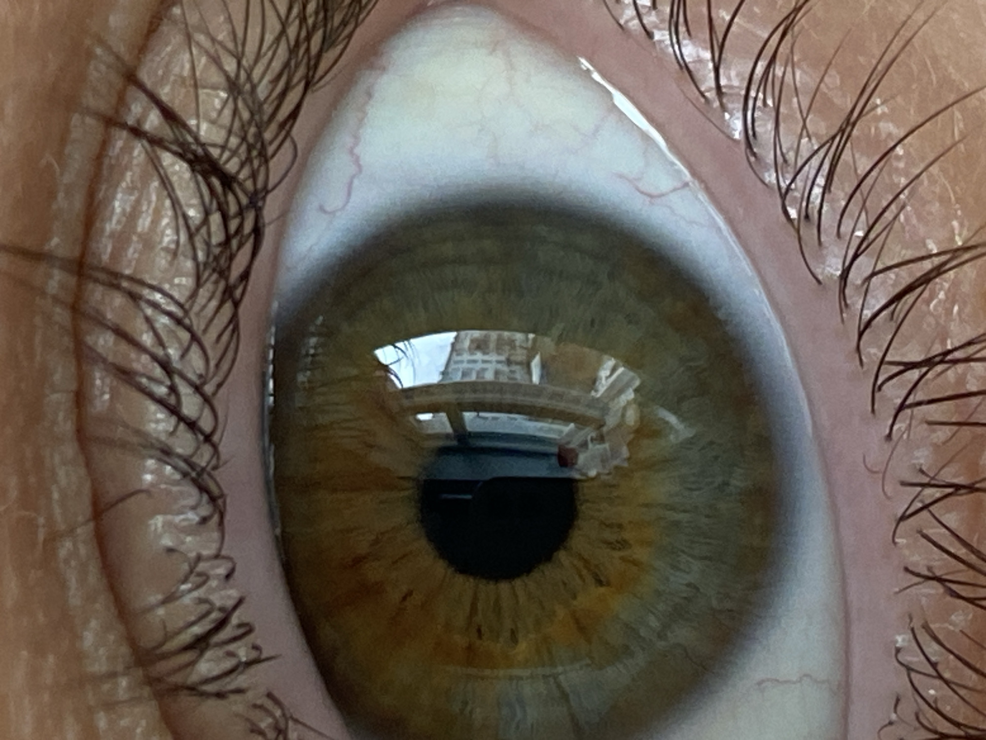 A close-up photograph shows a human eye, focusing on the iris and surrounding structures. The iris is a mix of green and brown, with variations in tone and striations visible. The pupil is black. A reflection of a building, including a windowed facade and structural supports, is visible on the surface of the eye. Eyelashes are present along the edges of the eyelids. The skin surrounding the eye shows texture and minor blood vessels. The eye is open and forward facing. Based on the reflected building and the window structure, the city of Chaikovsky, Russia, can be inferred.