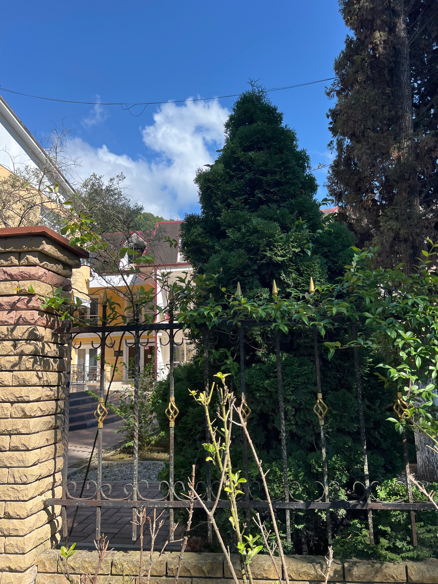A full outdoor shot captures a residential property in New Athos, Abkhazia, under a bright blue sky with scattered white clouds. In the foreground, a stone pillar, constructed from rectangular beige stones, stands on the left, partially obscuring a black metal fence. The fence, adorned with decorative golden swirls and pointed finials, encloses the property. Beyond the fence, a large, dense green conifer tree dominates the center of the frame. To the right of the conifer, a tall, dark, and textured tree with feathery foliage stands. In the background, a multi-story yellow building with white trim and a dark roof is visible, featuring balconies and windows. The overall scene depicts a well-maintained property with lush vegetation and a clear sky.