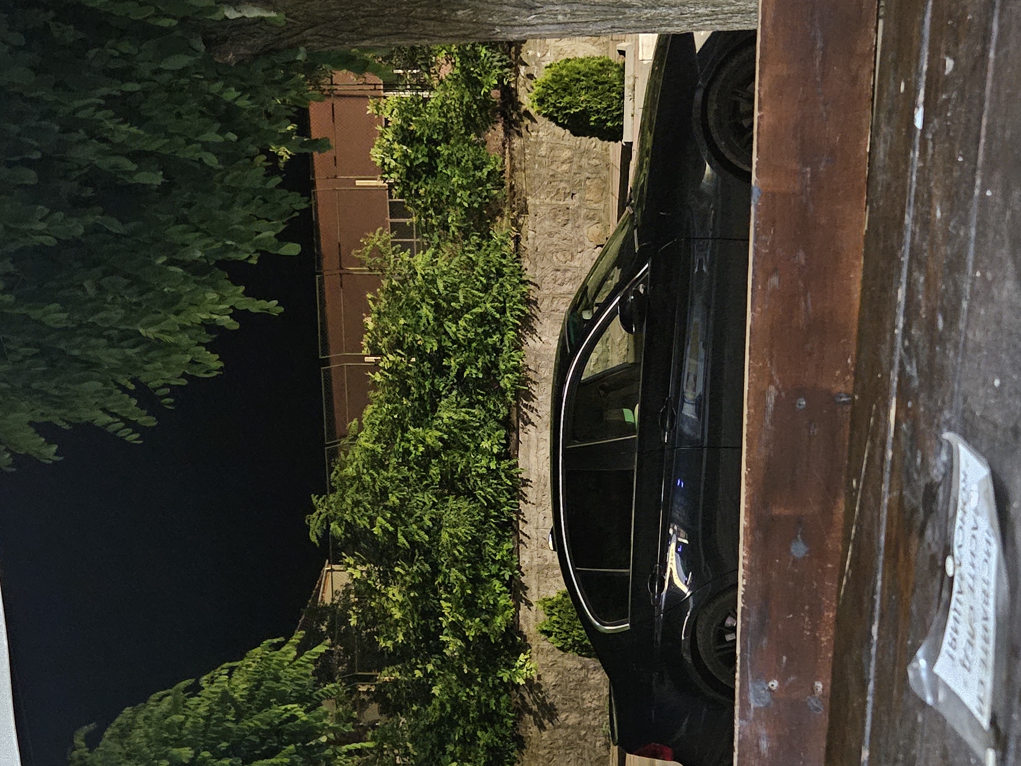 The image shows a dark-colored sedan parked in front of a stone wall with dense green bushes behind it. A large tree trunk is visible on the right side of the frame. In the foreground, a weathered wooden surface with some papers on it is present. The scene appears to be outdoors at night, with artificial lighting illuminating the car and vegetation. The context of Biaga, Bulgaria is not directly discernible from the visual elements in the image itself.