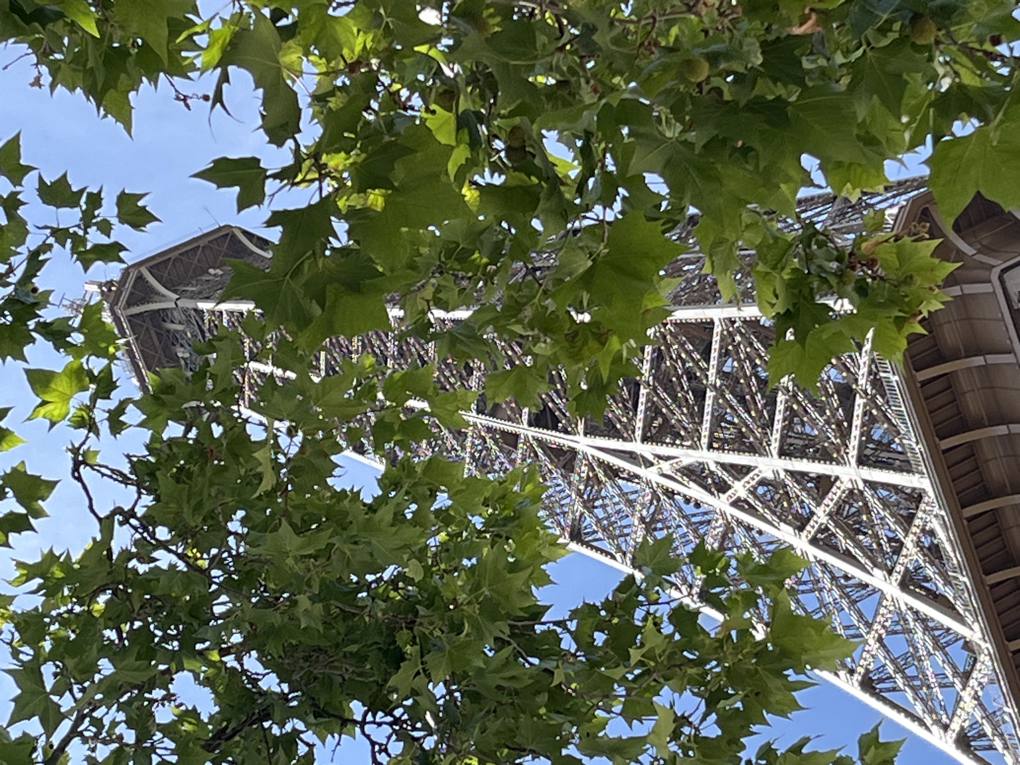 The image captures a view looking up at the Eiffel Tower in Paris, France, framed by lush green leaves of a nearby tree. The iconic lattice structure of the tower is visible, with its metallic beams and supports extending upwards against a clear blue sky. The foliage partially obscures the tower, creating a dappled effect of light and shadow. The base of the tower, with its curved arches, is also discernible at the bottom of the frame. There are no people visible in the image. The scene appears to be from a sunny day, with the bright sky and vibrant green leaves suggesting a pleasant outdoor setting.