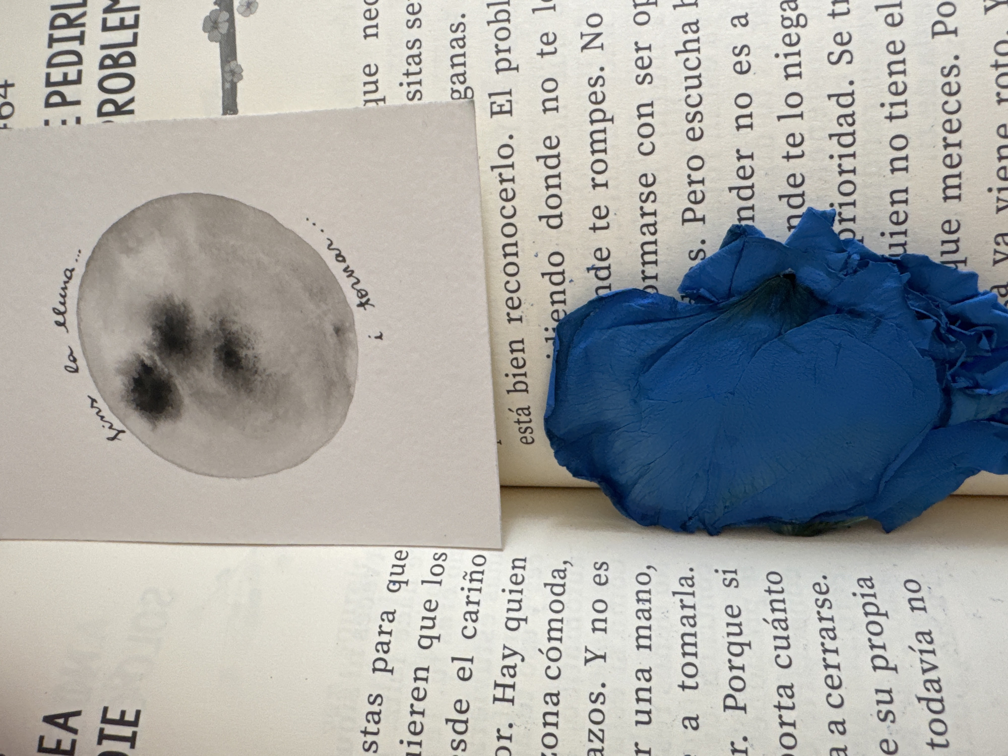 This image displays a close-up, top-down view of an open book with a blue rose petal placed on top of the right page. The book's pages are aged and yellowed, with black text. The left page contains the end of a phrase: "...stas para que / quieren que los / esde el cariño / or. Hay quien / zona cómoda, / azos. Y no es / r una mano, / e a tomarla. / r. Porque si / porta cuánto / a a cerrarse. / e su propia / todavía no". The right page features a square card with a watercolor illustration of a moon and handwritten text, placed over another piece of paper with text. The card shows a pale gray circle with darker gray markings, likely representing craters or shadows. Above the moon, handwritten text reads "fins la lluna...", and below it, "i tornar...". Below this card, the text on the right page of the book is partially obscured by the blue rose petal, but visible text includes "...está bien reconocerlo. El probl / liendo donde no te lo / nde te rompes. No / ormarse con ser op / s. Pero escucha h / nder no es a / nde te lo niega / prioridad. Se tr / uien no tiene el / que mereces. Po". The rose petal is a vibrant, deep blue with visible texture and some slight creasing. The lighting suggests an indoor environment, possibly natural light from a nearby window. There are no people or animals visible in the frame. The overall impression is one of still life, combining text, art, and a natural element. There is no information or visual cue in the image to suggest a specific location in the city of Murcia, Spain.