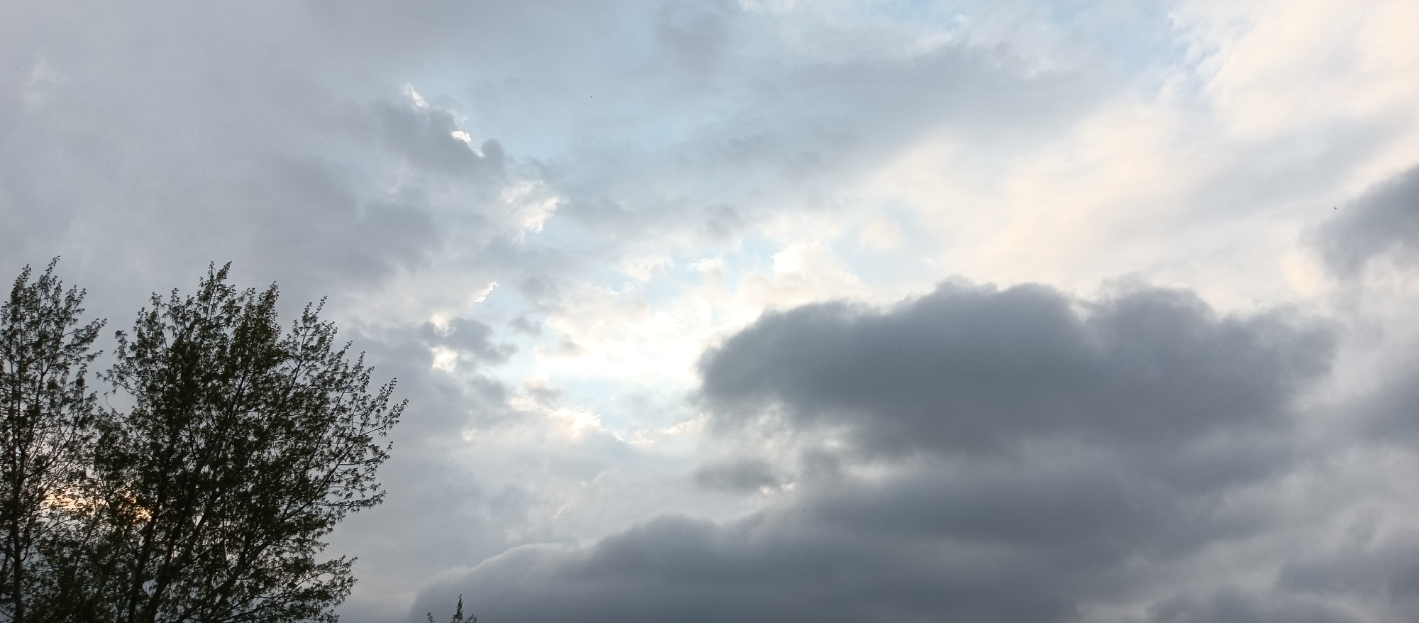 The image depicts a cloudy sky above a tree line. The sky is predominantly gray with patches of lighter, almost white, clouds interspersed. There's a visible opening in the clouds where a bit of pale blue sky and bright light peek through. On the left side of the image, there are two trees with green leaves silhouetted against the sky.