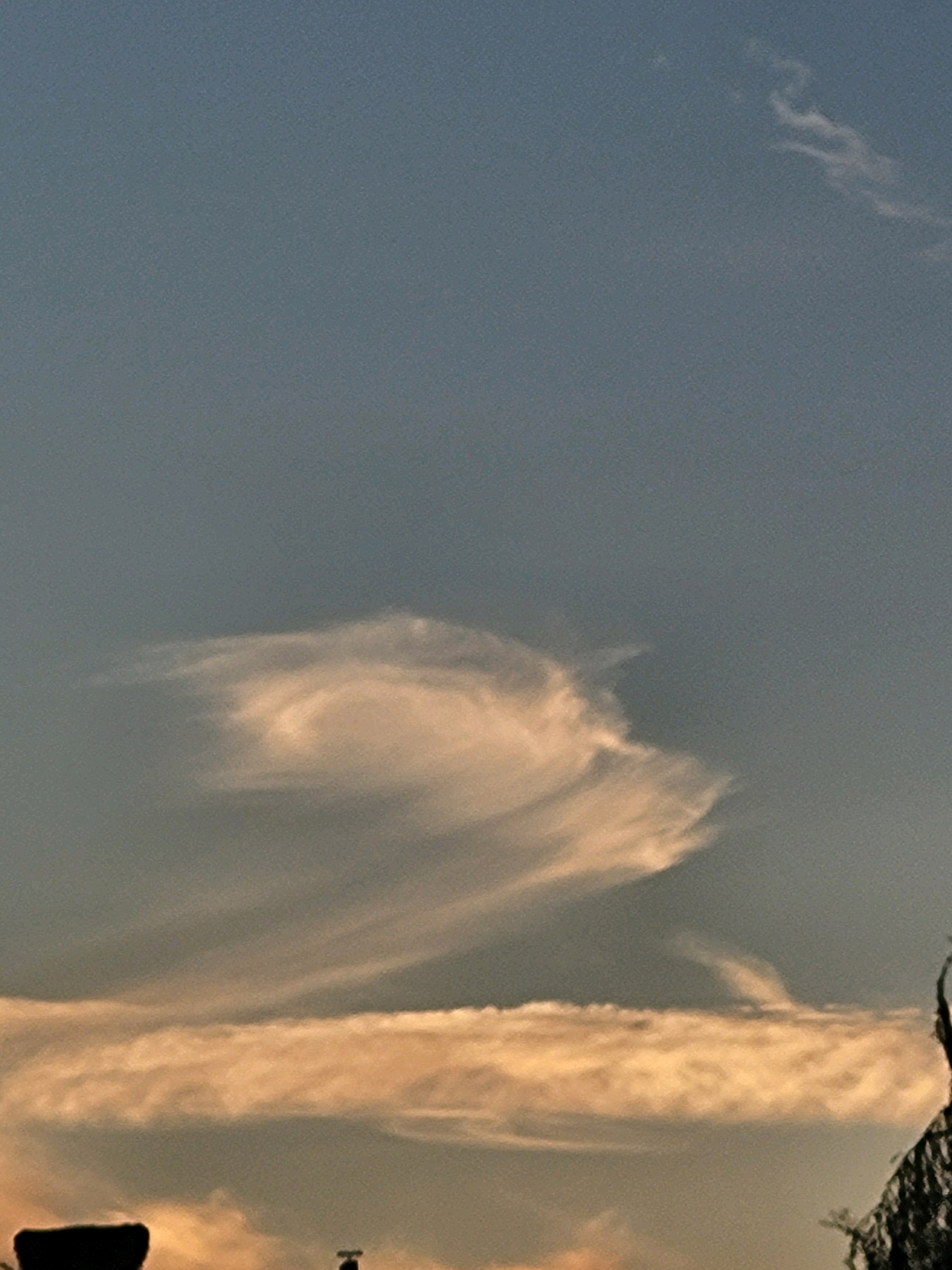 A wide-angle, vertical shot captures a sky dominated by a soft blue hue, transitioning to warmer tones near the horizon. Wispy clouds drift across the frame, with a prominent, swirling cloud formation in the mid-ground catching the light. A band of denser, orange-tinted clouds stretches across the lower portion of the image. Silhouetted against this backdrop are the tops of what appear to be trees or foliage on the right side and a dark, amorphous shape on the left. A hint of structure, possibly a small post or antenna, is visible in the lower right quadrant. The scene appears to be an outdoor environment at dusk or dawn, with no individuals or specific human activity clearly depicted. The location is identified as Ozolnieki, Latvia.