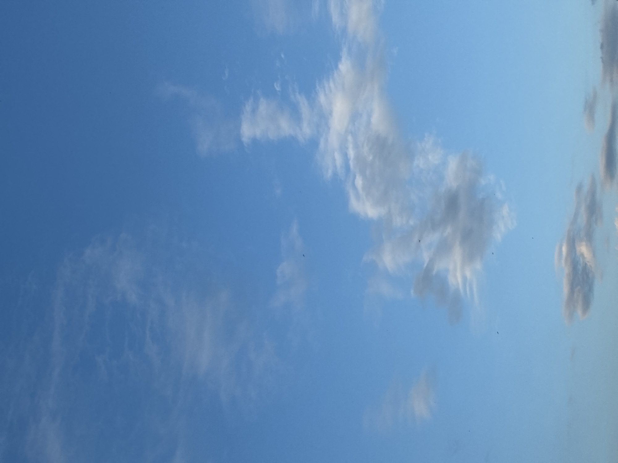 The image is a vertical shot of a clear blue sky with scattered white clouds. A few small, dark specks, likely birds or insects, are visible against the sky. The clouds vary in size and density, with some appearing wispy and thin, while others are more substantial and textured. The lighting suggests it is daytime, possibly late afternoon or early morning, given the soft illumination of the clouds. There are no man-made structures or identifiable landmarks visible in the frame. The scene is purely a natural environment.