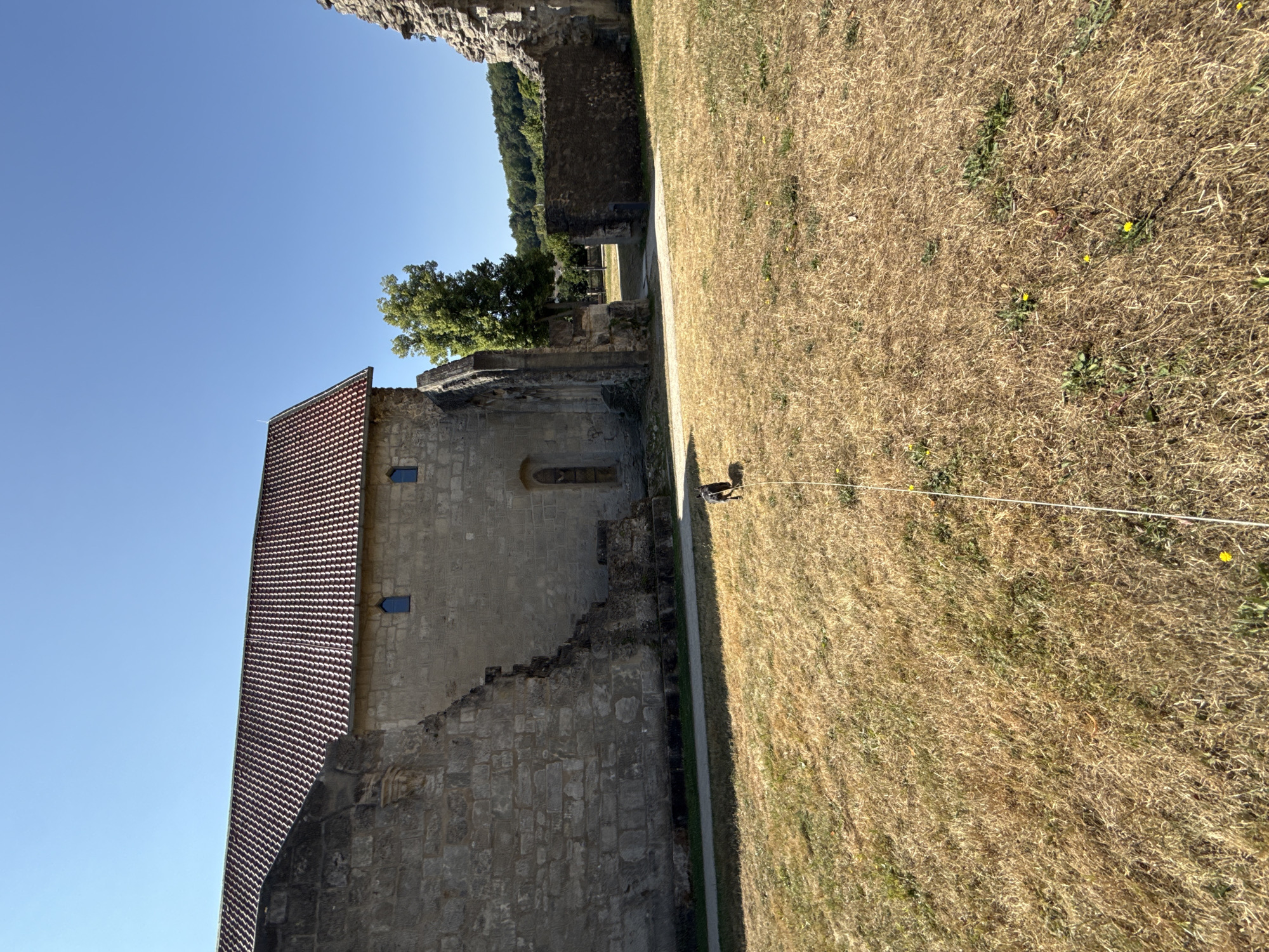 The image depicts the ruins of the Walkenried Abbey in Walkenried, Germany. A dark-colored dog on a leash is walking on a dry, grassy field in front of the stone ruins of a building. The building has a red-tiled roof and a stone wall. The sky is clear and blue. In the background, there is a tree and more stone ruins. The overall scene is bathed in sunlight.