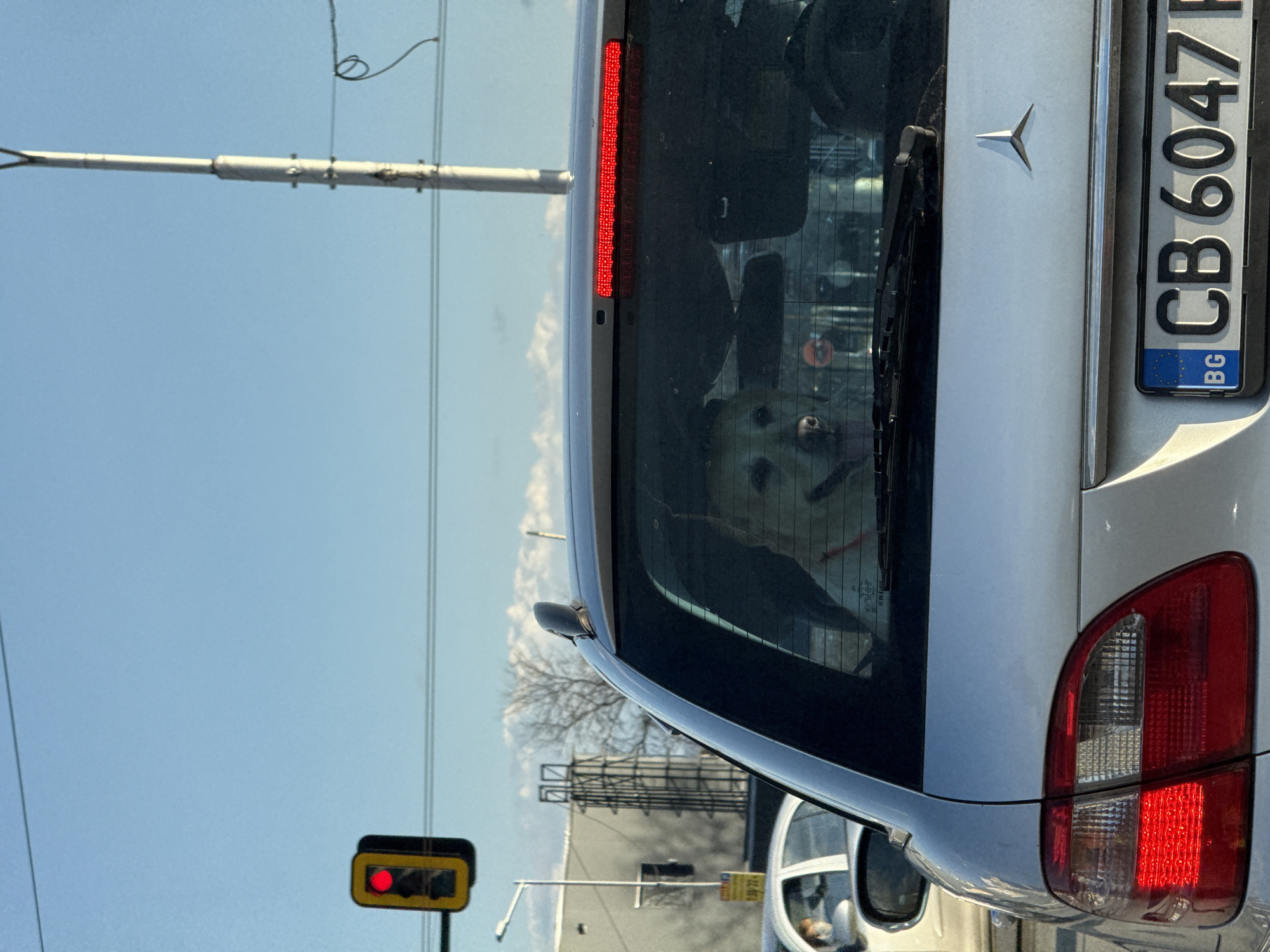 A medium shot depicts the rear of a silver Mercedes-Benz car with a Bulgarian license plate "CB 6047 BG," observed at a traffic light in Sofia, Bulgaria. The traffic light displays a red signal. A light-colored dog is visible through the back window, appearing to look directly at the camera. Overhead power lines stretch across the sky above the scene. Other vehicles are partially visible in the frame.