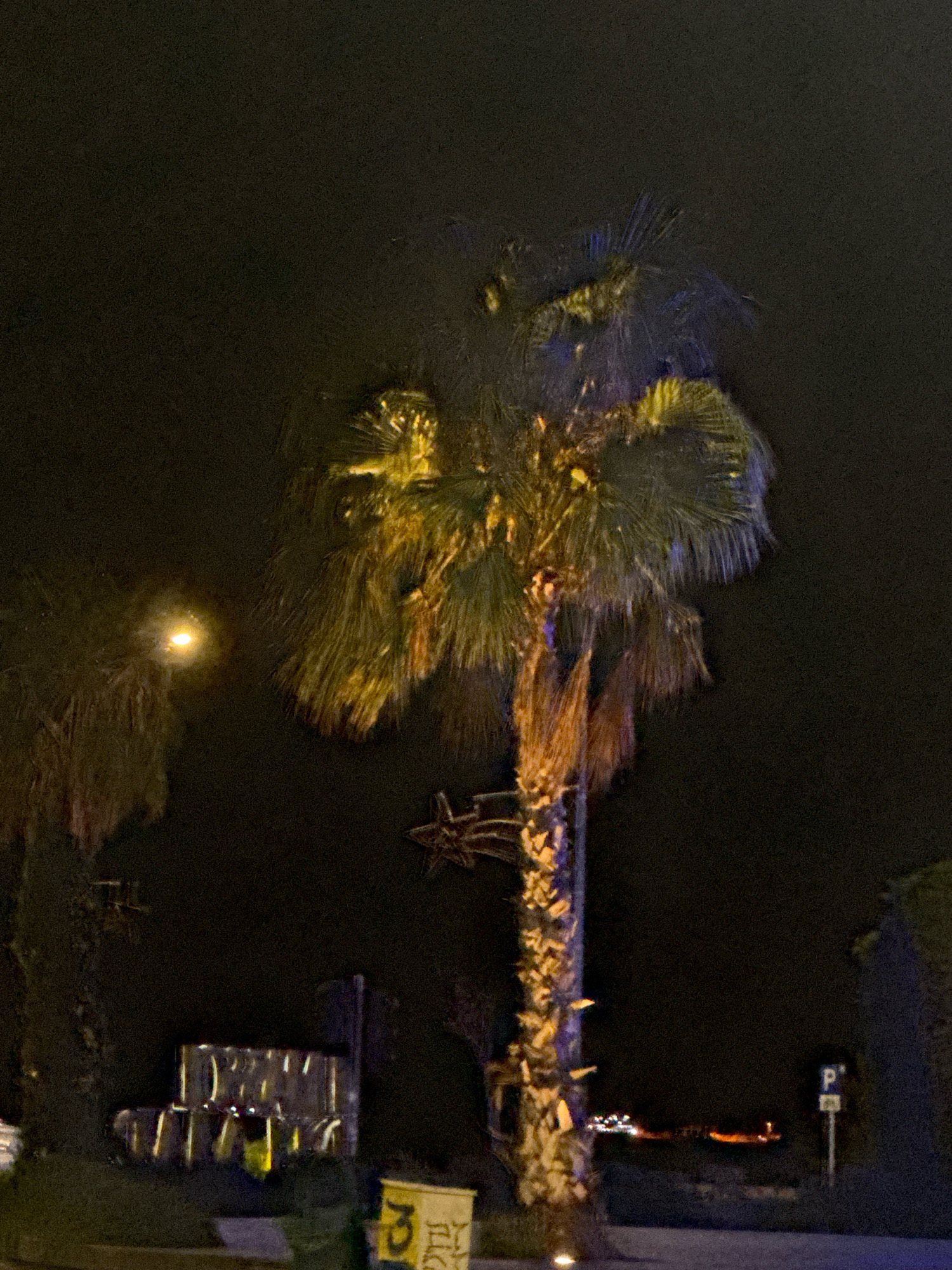 In Germasogeia Municipality, Cyprus, at night, a lit palm tree stands prominently in the foreground. Its trunk is illuminated with yellow and purple lights, and its fronds are highlighted with yellow light. To the left of the main palm tree, another palm tree is partially visible, also illuminated. In the background, a street light casts a bright glow. A bus stop shelter with lights is visible on the left side of the image, and a parking sign is present on the right. Distant lights of what appears to be a city are visible on the horizon. The overall scene is dark, with artificial lighting creating highlights on the palm trees and the surrounding environment.