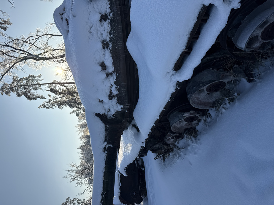 The image displays a derelict tracked military vehicle in a snow-covered forest environment near Dmytrivka, Ukraine. The vehicle, possibly a tank or armored personnel carrier, is heavily covered by a thick, undisturbed layer of white snow that drapes over its upper surfaces and side hull. Multiple icicles hang from the snow formations along the vehicle's dark, weathered metal structure. The visible track system features several road wheels partially obscured by snow, with sparse dry grass protruding from the snow near the ground. The immediate ground surface is uniformly covered in pristine white snow. In the background, a dense forest consists of tall coniferous trees and bare deciduous trees, many with branches glistening with ice. The sun is low in the sky, partially visible behind the tree line, casting a bright glare and illuminating the frozen landscape. No individuals, active movements, or interactions are present in the scene.