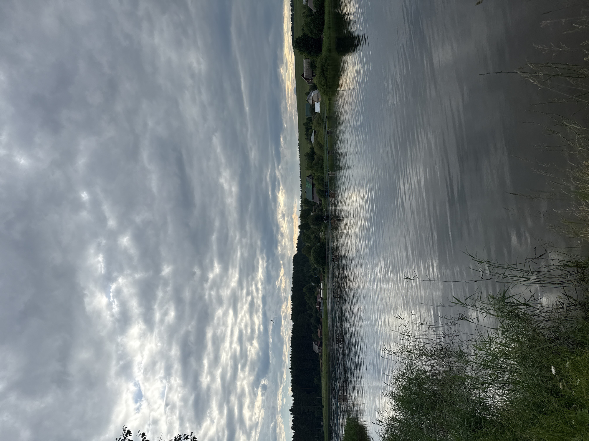 The image depicts a calm body of water, likely a lake or river, reflecting the overcast sky and the surrounding landscape. In the foreground, lush green reeds and tall grasses line the water's edge. The middle ground features the expansive water surface with gentle ripples. Across the water, on the far bank, is a dense line of dark green coniferous trees. Beyond the trees, a scattering of small, rural houses with red, green, and brown roofs are visible. The houses appear to be part of the village of Luzhkovo, Russia, nestled in a gently rolling green countryside. The sky is filled with a thick layer of grey clouds, with patches of brighter sky and sunlight breaking through in places, creating a dramatic and moody atmosphere. A single bird is captured in flight against the cloudy sky, above the treeline.