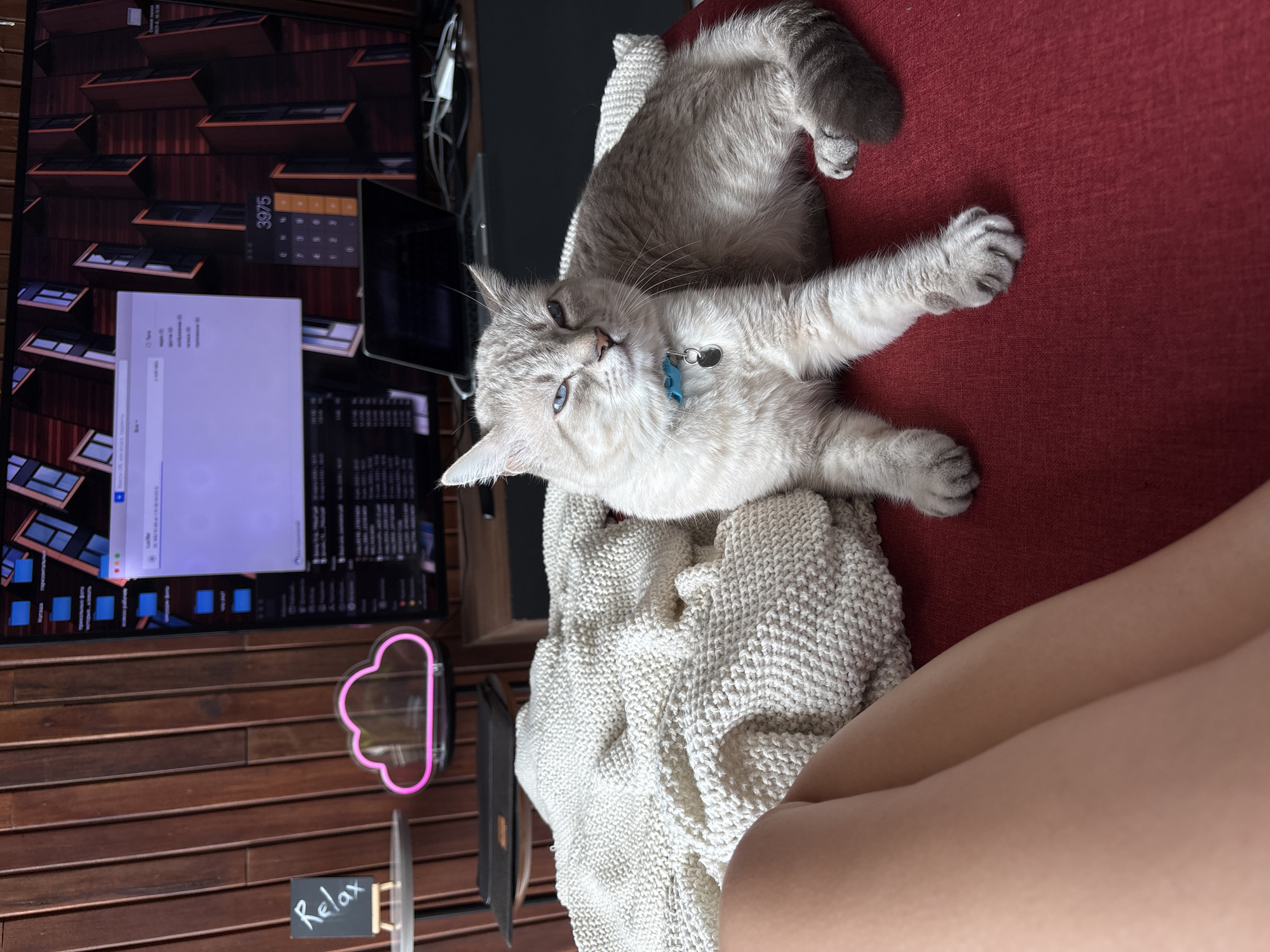 A light gray Siamese cat with blue eyes is lying on a red sofa, draped over a cream-colored knitted blanket. The cat is looking towards the camera with its front paws extended. A blue collar with a silver tag is visible around its neck. To the left of the cat, a large monitor displays a desktop background of wooden drawers. On the monitor, a calculator app shows the number "3975", and a browser window is open with a blank white page. Below the monitor, a wooden paneled wall features a pink cloud-shaped neon sign and a small chalkboard sign with the word "Relax" written in white chalk. The scene appears to be indoors, likely in a living room, with natural light coming from the left. The overall atmosphere is relaxed and casual. No specific time of day or weather conditions are discernible from the image. The location context suggests it might be in Choeng Thale, Thailand.
