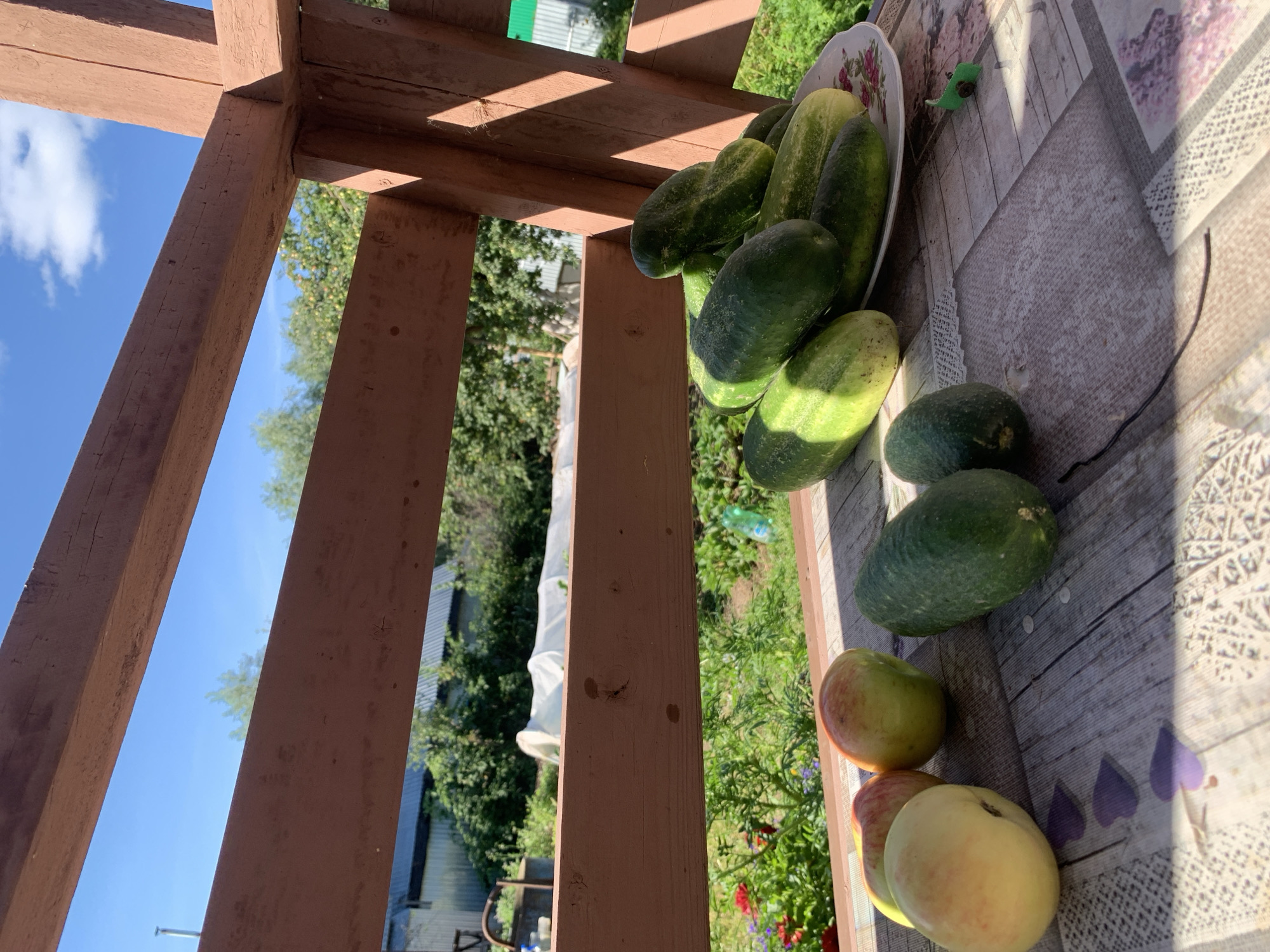 This is an outdoor photograph taken on a sunny day, possibly in a backyard or garden setting in Chaikovsky, Russia. The foreground features a wooden table with a patterned tablecloth. On the table, there are several cucumbers and three apples. Some of the cucumbers are placed directly on the table, while others are on a floral-patterned plate. In the background, a wooden structure with reddish-brown planks is visible, suggesting a porch, gazebo, or fence. Beyond the wooden structure, lush green foliage, trees, and what appears to be a building with a corrugated roof can be seen. The sky is blue with some scattered white clouds. The overall impression is one of a harvest or outdoor meal preparation.