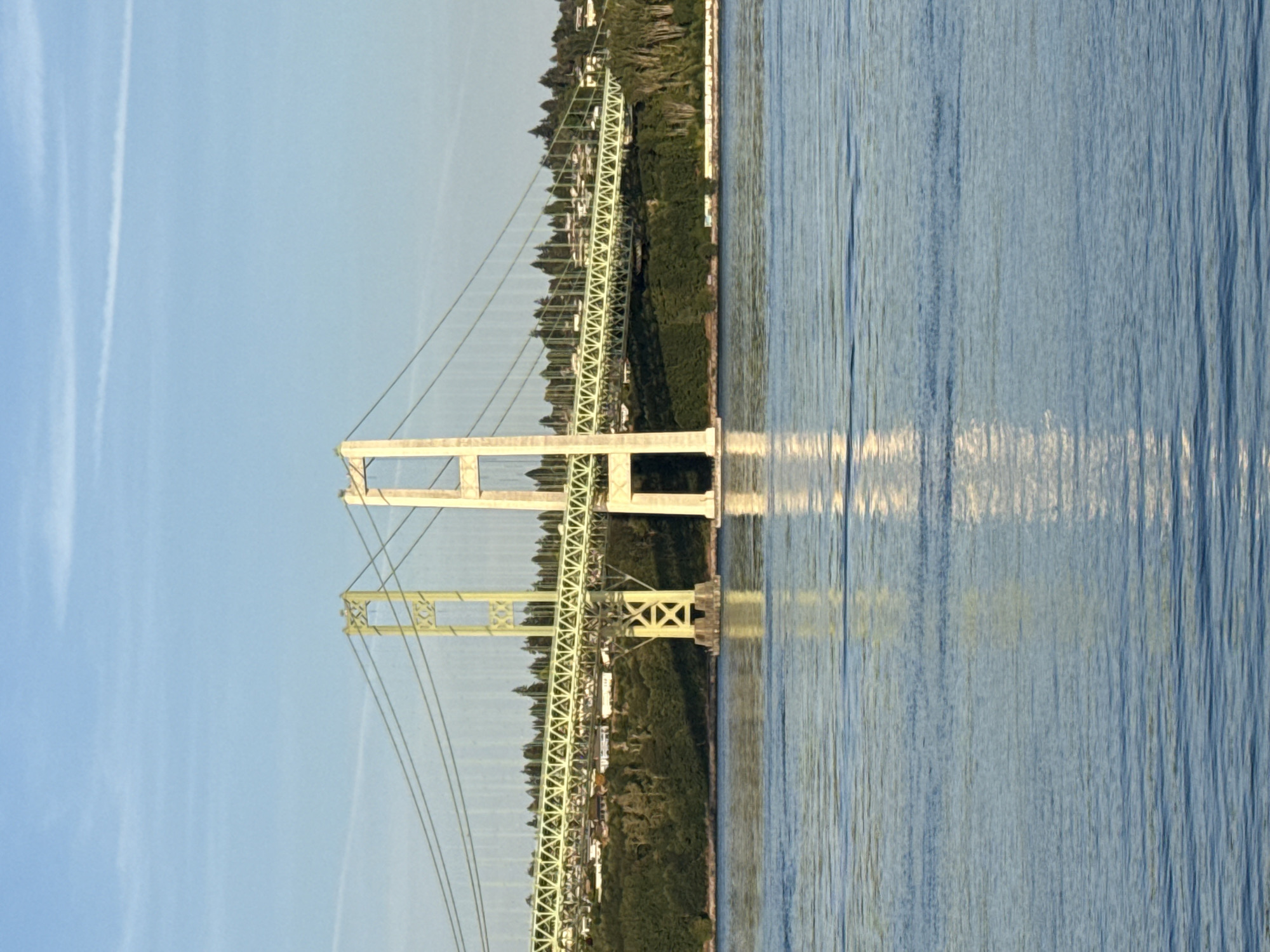 A suspension bridge with a bright green deck spans across a body of blue water under a clear sky with a faint white contrail. The bridge has two large, cream-colored towers that support the main cables. The foreground consists of rippling blue water that reflects the bridge and the sky. Behind the bridge, a tree-covered hillside with houses scattered amongst the trees can be seen. The scene appears to be captured from a boat or from the water's edge. This bridge is the Tacoma Narrows Bridge, located in Gig Harbor, Washington, United States.