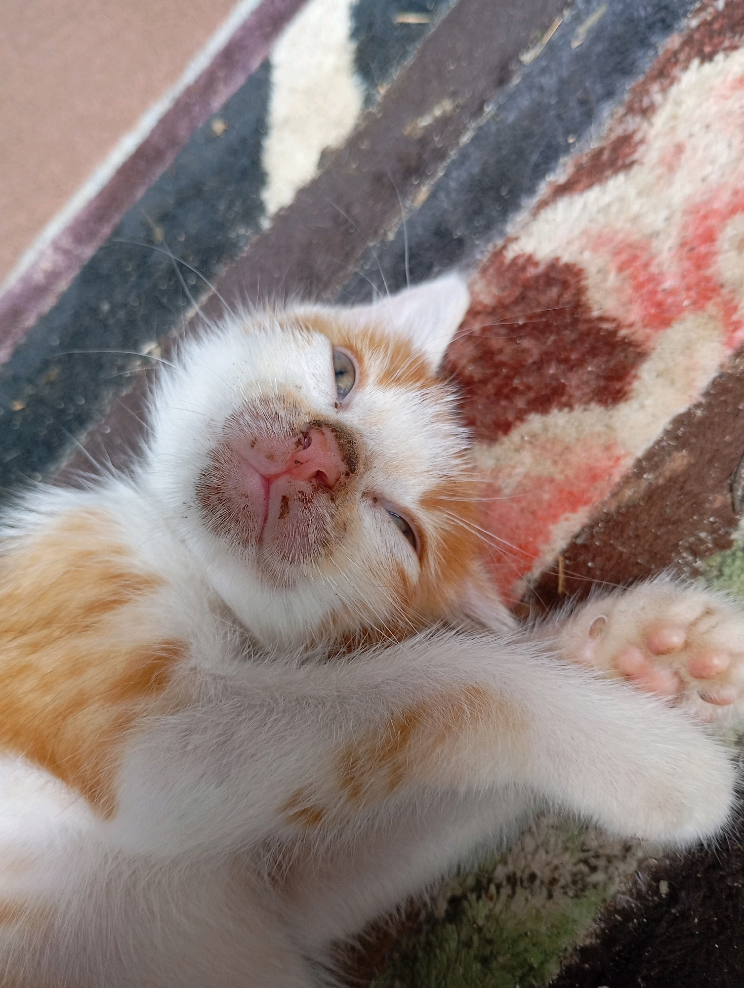 A close-up, overhead shot focuses on the face and front paws of a young cat lying on its back. The cat has orange and white fur, with prominent pink paw pads visible on its right front paw. Its nose is a speckled pink and brown, with some dirt or debris around it. The cat's eyes are partially closed, giving it a sleepy or relaxed appearance. The background is a blurry, striped carpet with colors of brown, red, and white. The scene appears to be outdoors, possibly on a porch or patio, given the natural lighting and textured ground. The image does not contain any explicit indicators of its specific location within Balikpapan, Indonesia, but it portrays a common domestic animal scene.