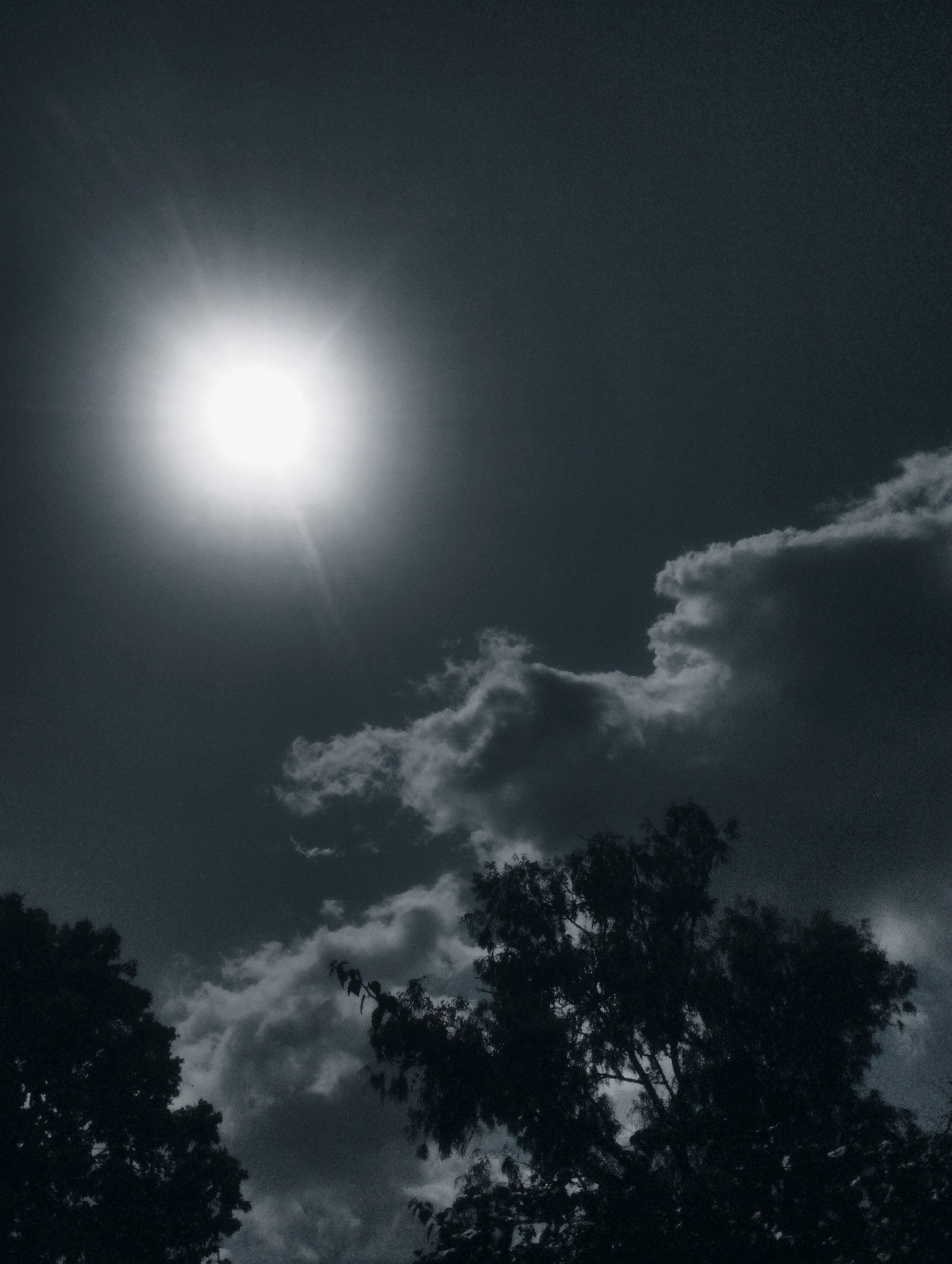 This is a grayscale, low-angle photograph of a bright sun shining in a cloudy sky, with the silhouettes of trees in the foreground. The sun is positioned in the upper left quadrant of the image, emitting strong rays that create a lens flare effect. Fluffy white clouds are scattered across the dark sky, some appearing dense and others wispy. The trees at the bottom of the frame are dark and featureless, their branches and leaves creating intricate patterns against the brighter sky. The overall mood is dramatic and somewhat mysterious, possibly suggesting a late afternoon or early morning light, or a storm approaching or receding. The image does not contain any visible text. The location context provided is Jos, Nigeria, suggesting this scene was captured in that region.
