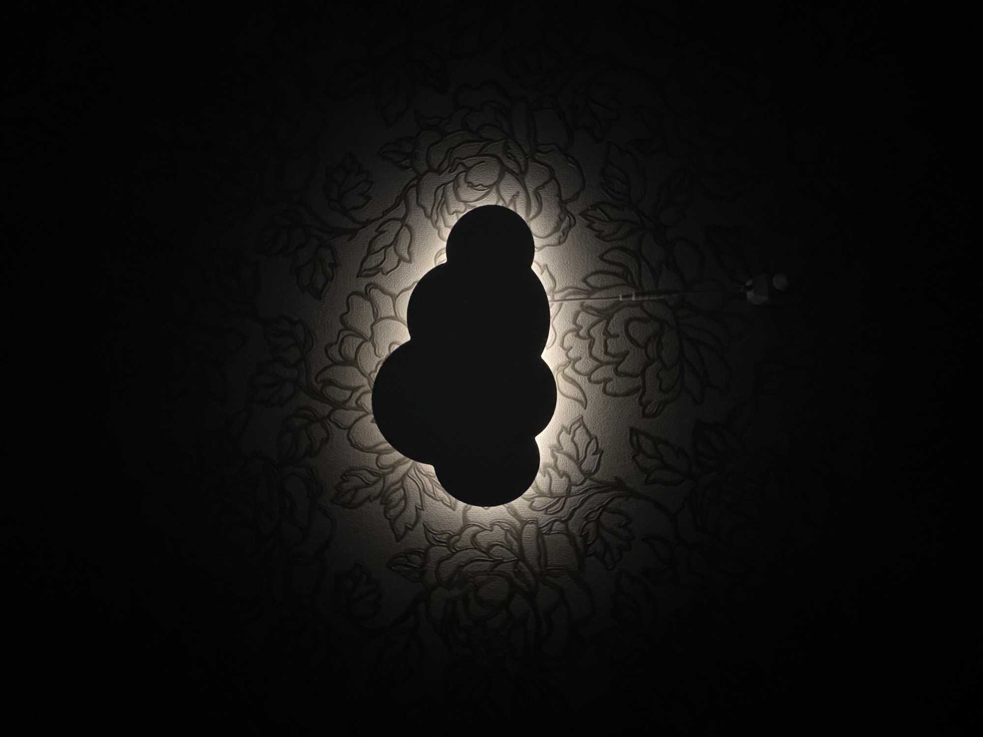 A low-light, interior shot features a wall with a floral pattern. In the center, there is a dark, abstract object composed of stacked circular shapes. The object appears to be backlit, casting a soft, ambient light onto the surrounding wall pattern. A wire is partially visible along the upper right of the illuminated area. The setting is Chaikovsky, Russia.