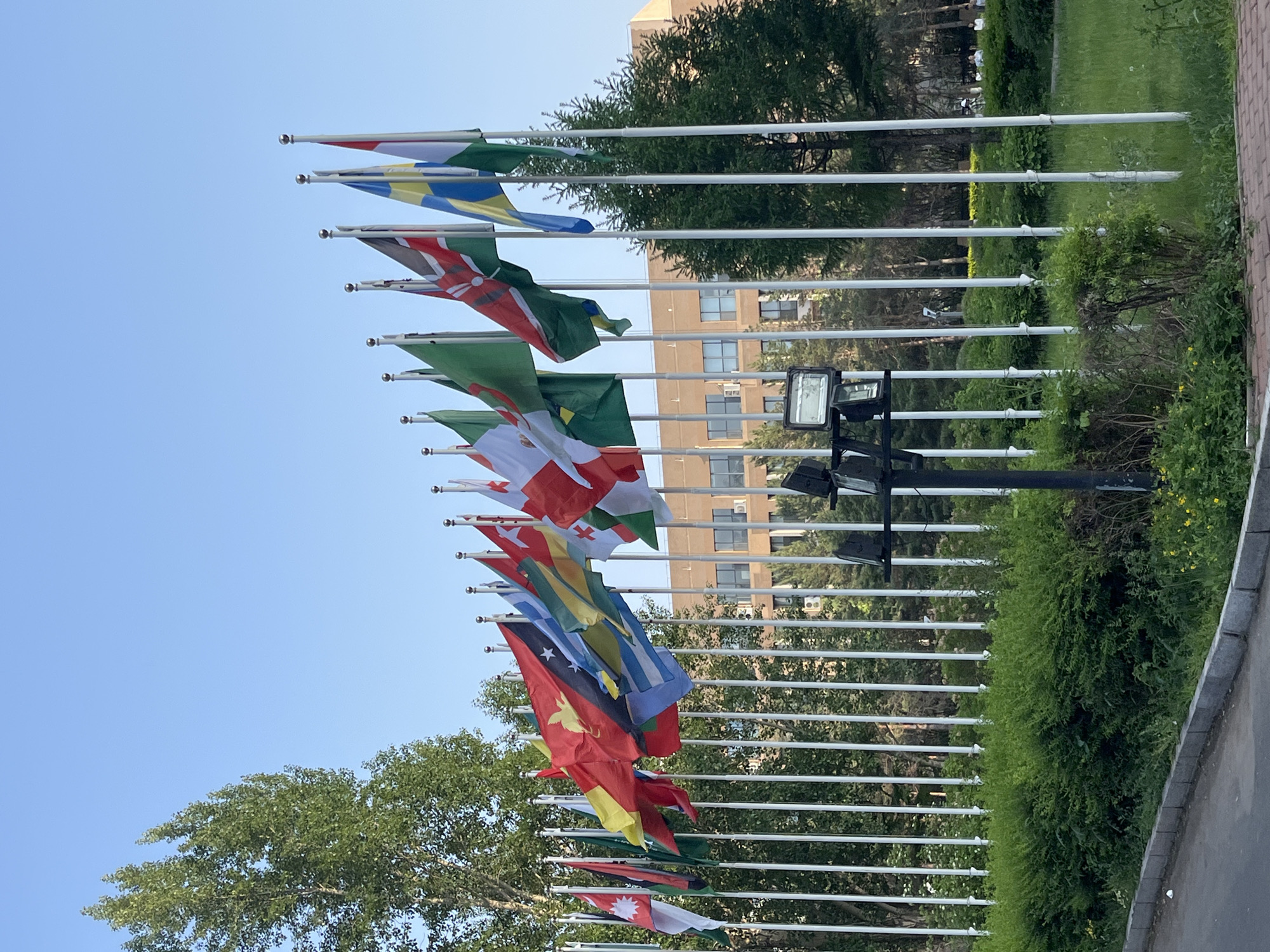 A row of flagpoles stands in front of a building in Changchun City, China. The flags represent various countries. Behind the flags, a well-maintained green hedge and manicured grass are visible. A streetlight pole is positioned among the flagpoles. The sky is blue and clear. Trees and buildings are visible in the background, adding to the urban landscape.
