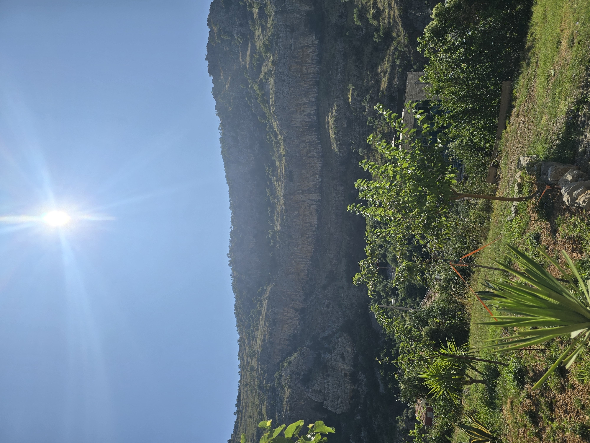 The image shows a bright, sunny day with the sun prominently displayed in the upper left quadrant of the sky, casting lens flare. The sky is a clear, vibrant blue, with no clouds visible. In the mid-ground, a large, layered rock formation dominates the landscape, with distinct horizontal striations. The rock face is textured and appears dry, with sparse vegetation clinging to its slopes. The foreground is a lush, green garden with various plants, including spiky succulents and leafy trees. Some of these plants appear to be young saplings, with visible stakes and orange ties supporting them. In the background, amidst the greenery, a few buildings are partially visible. One building appears to be a modern structure with a stone facade and large windows. Another building, further in the distance, is a red-roofed house. The overall scene is a natural landscape with signs of human habitation. The location is described as being in the city of Unknown, Unknown.