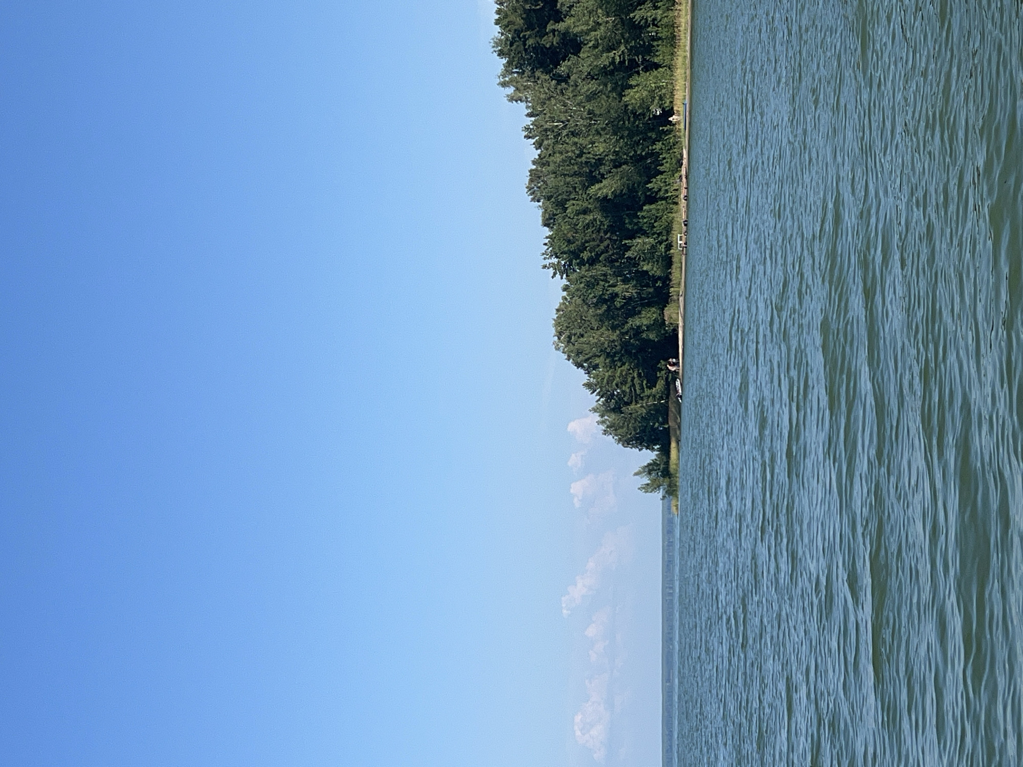 The image depicts a wide expanse of calm, greenish-blue water with gentle ripples. In the distance, a densely wooded shoreline forms a natural border. The trees are predominantly deciduous with varying shades of green foliage, and some taller trees are interspersed. A thin, sandy beach is visible along the edge of the water, with a few small boats or kayaks pulled up onto the shore. There are a few small groups of people visible along the beach area, some appearing to be standing or walking. The sky above is a clear, bright blue with a few wispy white clouds scattered near the horizon. The overall scene suggests a peaceful, natural environment.