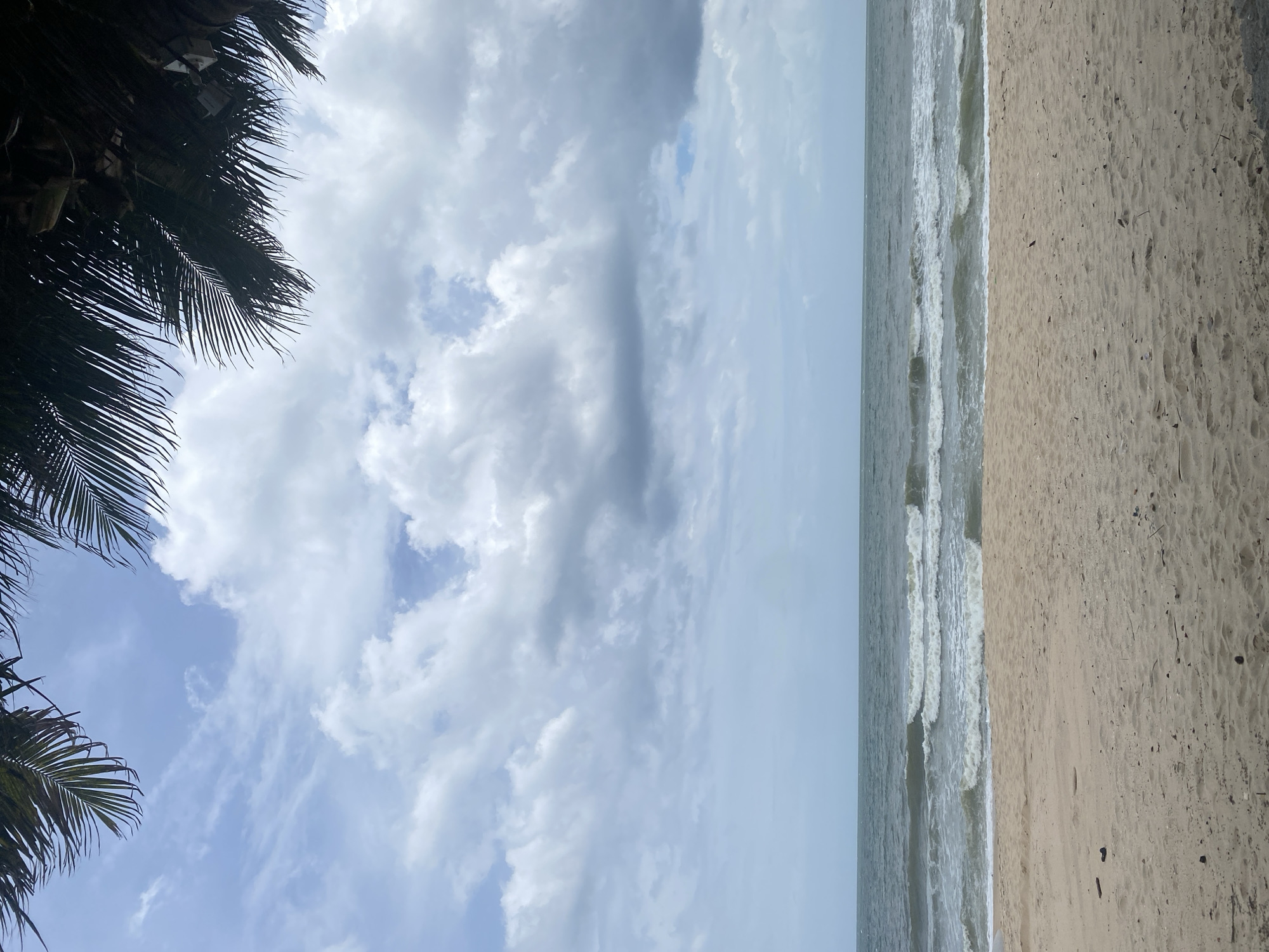 A view of a beach in Mui Ne, Vietnam. The foreground is a sandy beach with some scattered debris. In the middle ground, the ocean waves are rolling onto the shore. The background features a cloudy sky with some patches of blue visible. Palm fronds are visible in the upper corners of the image, suggesting a tropical location. The scene is devoid of people and any specific actions are not discernible. The lighting suggests it is daytime, possibly overcast.