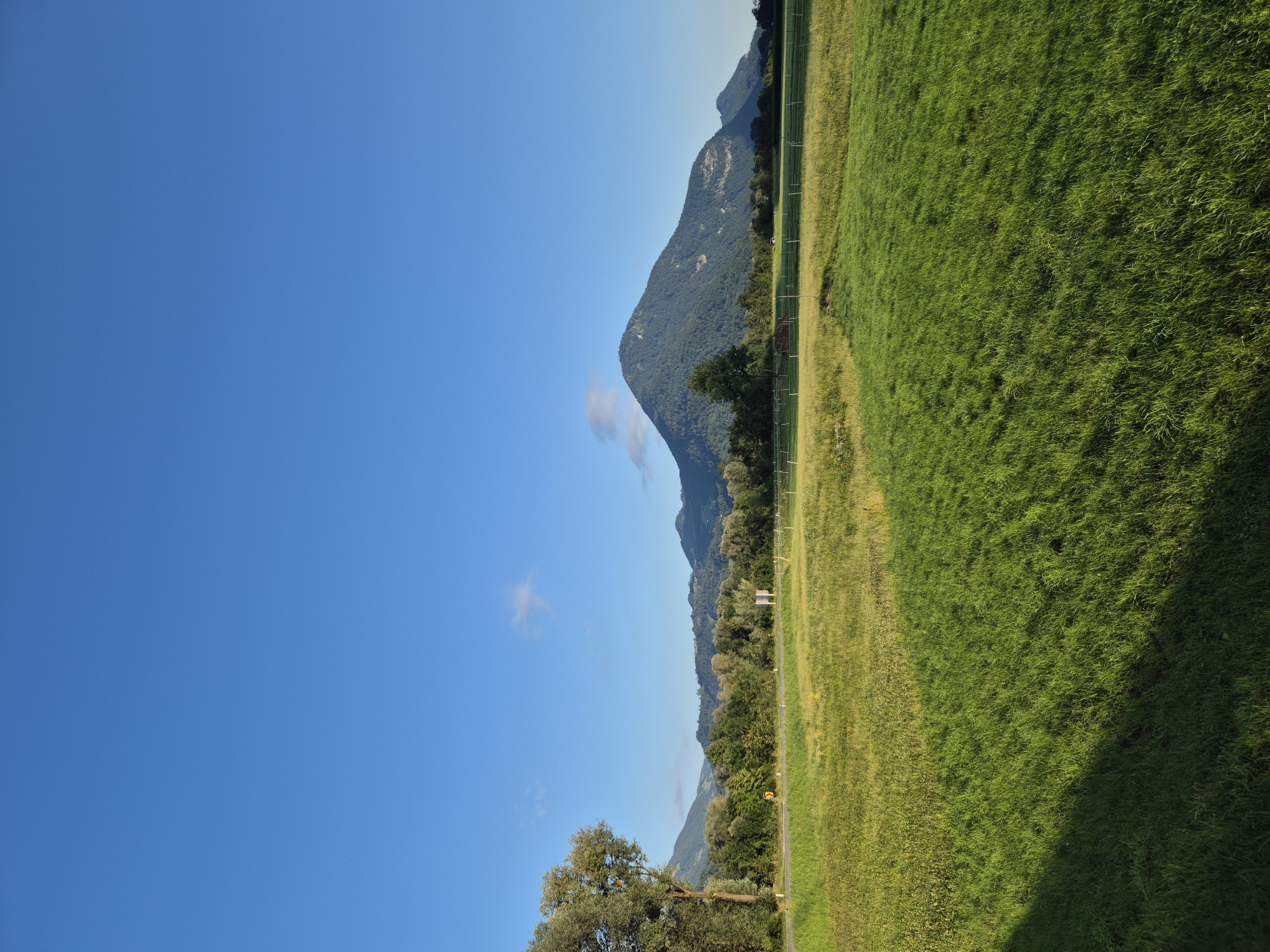The image shows a landscape scene under a clear blue sky with a few wispy clouds. In the foreground, a vast, green meadow stretches across the frame, with a dark shadow cast by an unseen object on the left. A thin fence runs across the middle ground, bordering a slightly more overgrown section of grass. Beyond the meadow, a line of trees forms a dense treeline, with a road running through it. Further in the distance, a large, tree-covered mountain dominates the horizon, its slopes catching the sunlight. The overall impression is of a serene rural landscape, likely in the vicinity of Niederndorf, Austria, given the characteristic mountain scenery.