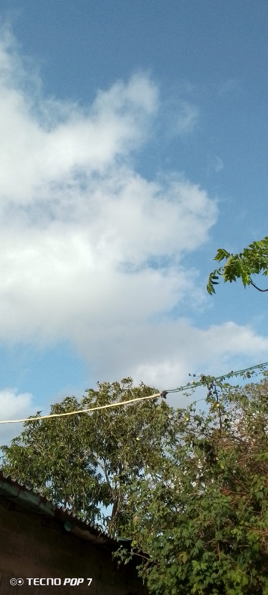 The image shows a partly cloudy sky over Altagracia, Venezuela. Visible below the sky are trees, a white power line, and a rooftop. The camera used to take the photo is a TECNO POP 7.