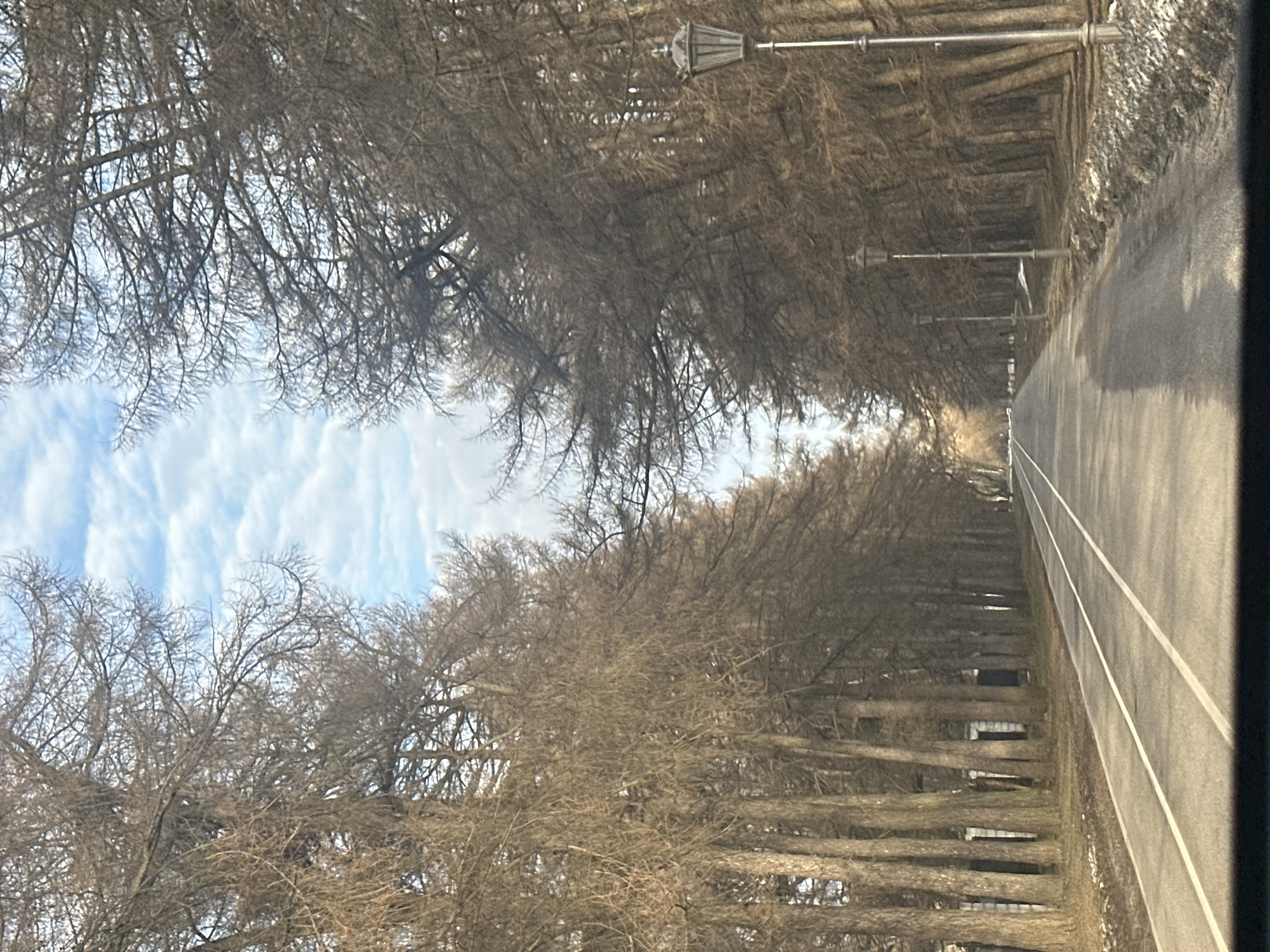 The image shows an avenue in Moscow, Russia, characterized by tall trees lining both sides of a road. The trees are bare, indicating it's likely winter or early spring. A road with white lines runs through the center of the frame, suggesting it is a paved walkway. A series of street lamps line the walkway, adding to the avenue's structure. The sky above is partially visible, showing pale blue with scattered white clouds. The overall impression is of a peaceful, possibly historical or park-like area in Moscow.