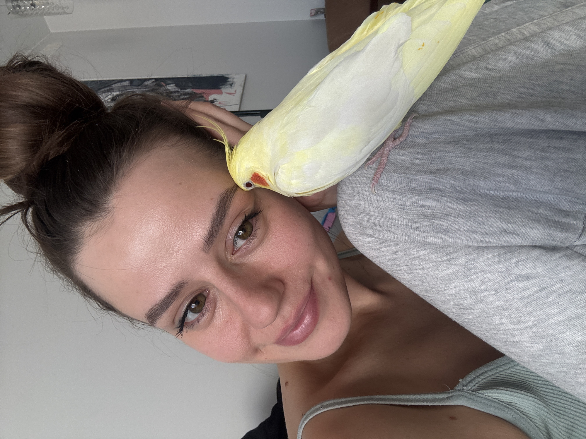 A woman with brown hair pulled back in a bun is smiling slightly at the camera. A light yellow cockatiel bird perches on her head, near her eyebrow. The bird appears to be grooming her. The woman is wearing a gray sweatshirt and a light green tank top. The background includes a white wall and a partially visible painting. There is no information to indicate that this image was taken in Krasnoyarsk, Russia.