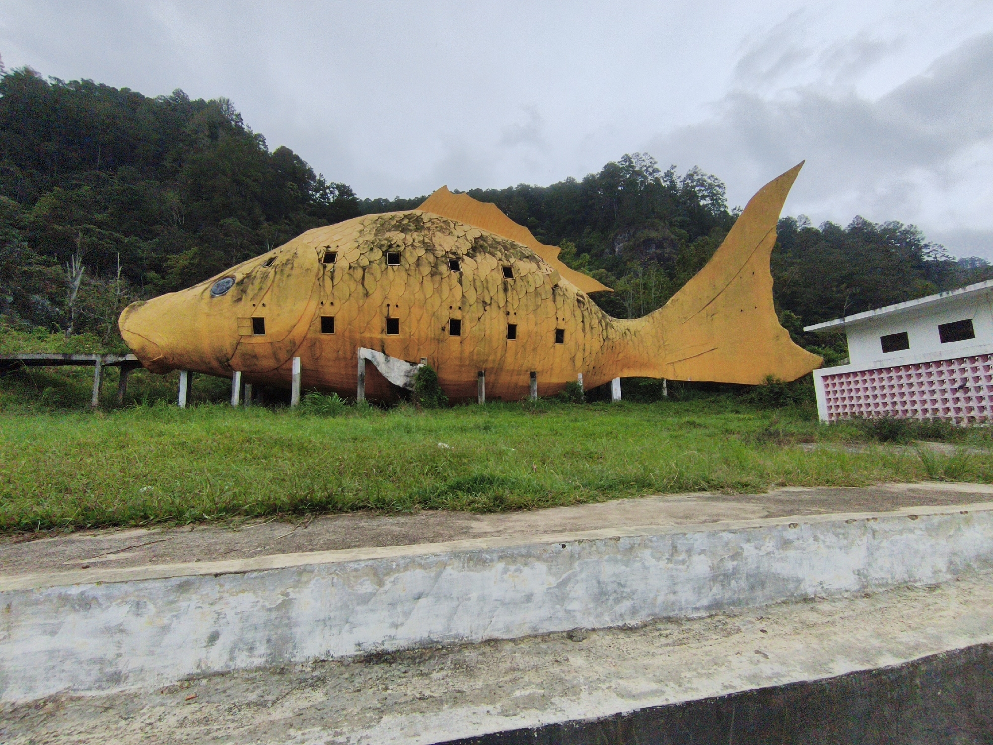 The image depicts a large, whimsical, fish-shaped building, painted a vibrant yellow, situated in what appears to be an abandoned or neglected setting in the city of Pem.tambun Raya, Indonesia. The building's exterior is textured to resemble scales and features numerous small, square windows scattered across its body. The fish is positioned on stilts above a patch of overgrown green grass, suggesting it might have once been a restaurant or attraction. To the right of the fish building, a portion of a smaller, white, rectangular building is visible, with a decorative pink and white tiled wall in front of it. The background is dominated by a dense, dark green forest that climbs up a hillside under a cloudy, overcast sky. The foreground shows a concrete barrier or ledge. The overall impression is one of a peculiar and somewhat eerie landmark, possibly a relic of a past era, set against a natural, hilly landscape. There are no people visible in the image.