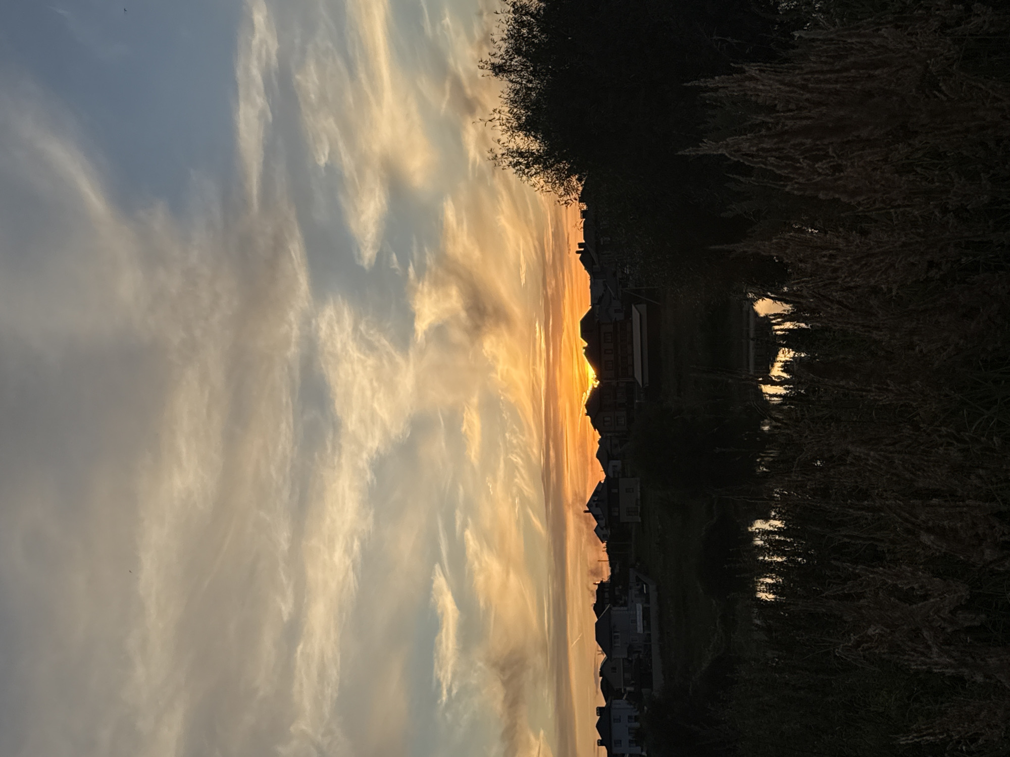 The image captures a sunset over the town of Bogoslovka, Russia. The sky is filled with streaks of orange, yellow, and blue clouds, with a bright orange glow emanating from the horizon. Silhouetted against the vibrant sky are the rooftops of houses, suggesting a residential area. In the foreground, tall grasses and reeds are dark and out of focus, with a hint of reflected light from a body of water visible between them. The overall impression is one of a peaceful rural evening.
