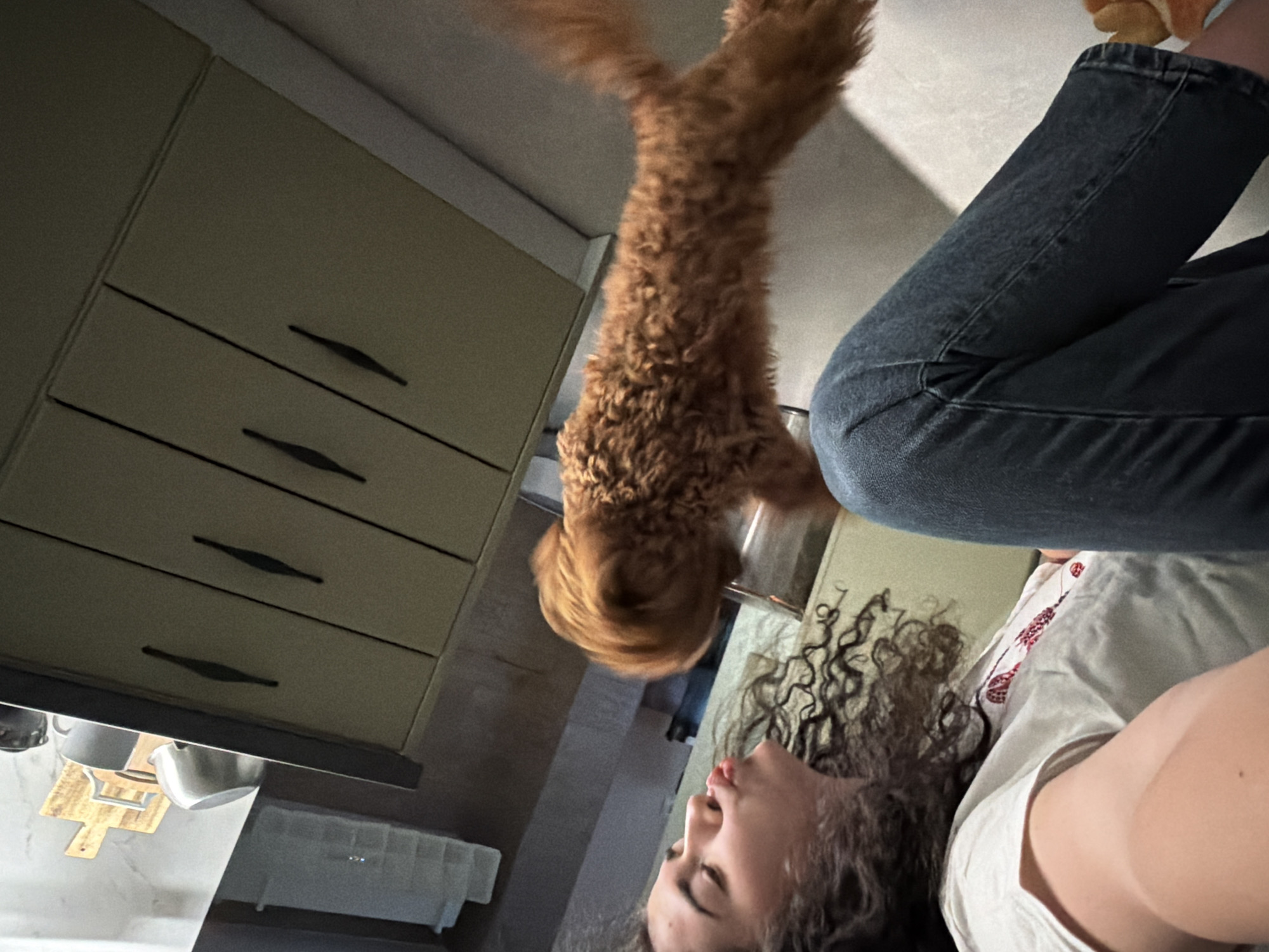 This is a low-angle, close-up shot looking up at a person and a dog. The person, with long, curly brown hair, is wearing a white t-shirt with red embroidery and blue jeans. The dog, a golden-colored poodle mix, is in mid-air, appearing to jump or play. The background suggests a domestic setting, possibly a kitchen, with beige cabinets and drawers visible. A metal sink and a wooden cutting board are also in view. The lighting is dim, indicating it may be evening or the lights are low. The overall mood seems playful and energetic due to the dog's action and the close proximity of the subjects. The image is captured in Sofia, Bulgaria.