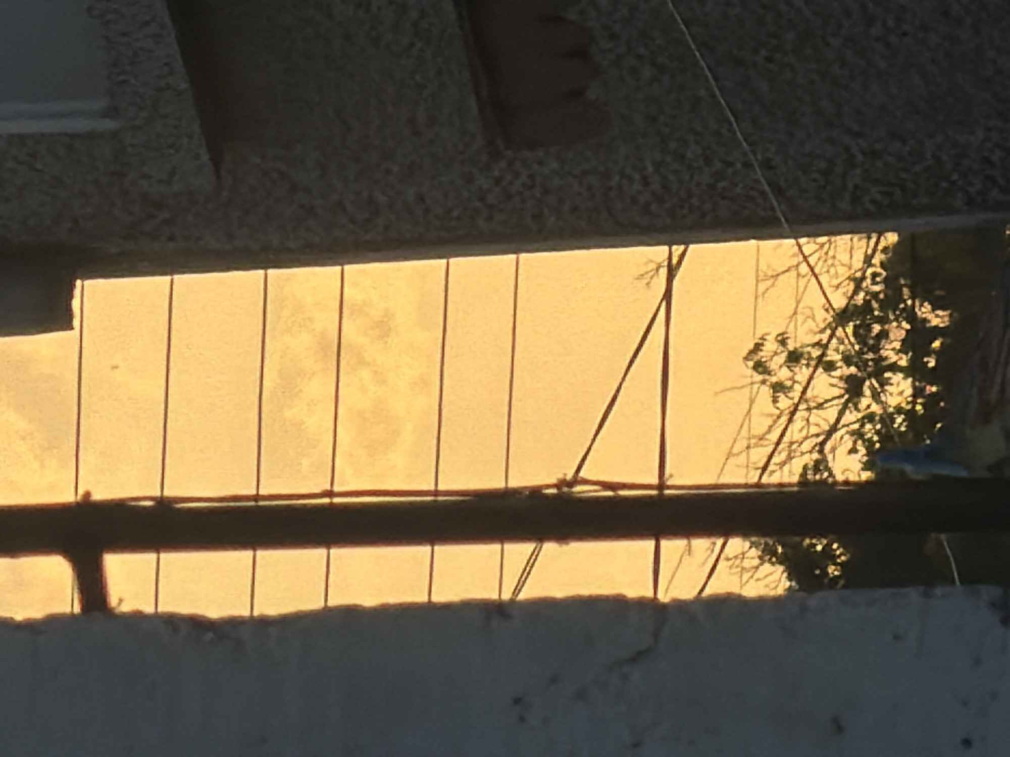 The image displays a portion of a building with a textured, grey facade, and a section of a white, rough-textured wall in the foreground left. A dark, vertical pole with horizontal lines stretching across the frame dominates the center. The background is a bright, uniform orange sky, possibly indicating sunset or sunrise, with faint cloud patterns visible. Silhouetted against the sky are tree branches. The scene appears to be outdoors, with the architecture and telephone pole suggesting an urban or semi-urban environment. No people or distinct actions are depicted. The overall impression is of an outdoor scene viewed through an opening or between structures. The image does not contain information that specifically places it in Pavel Banya, Bulgaria.