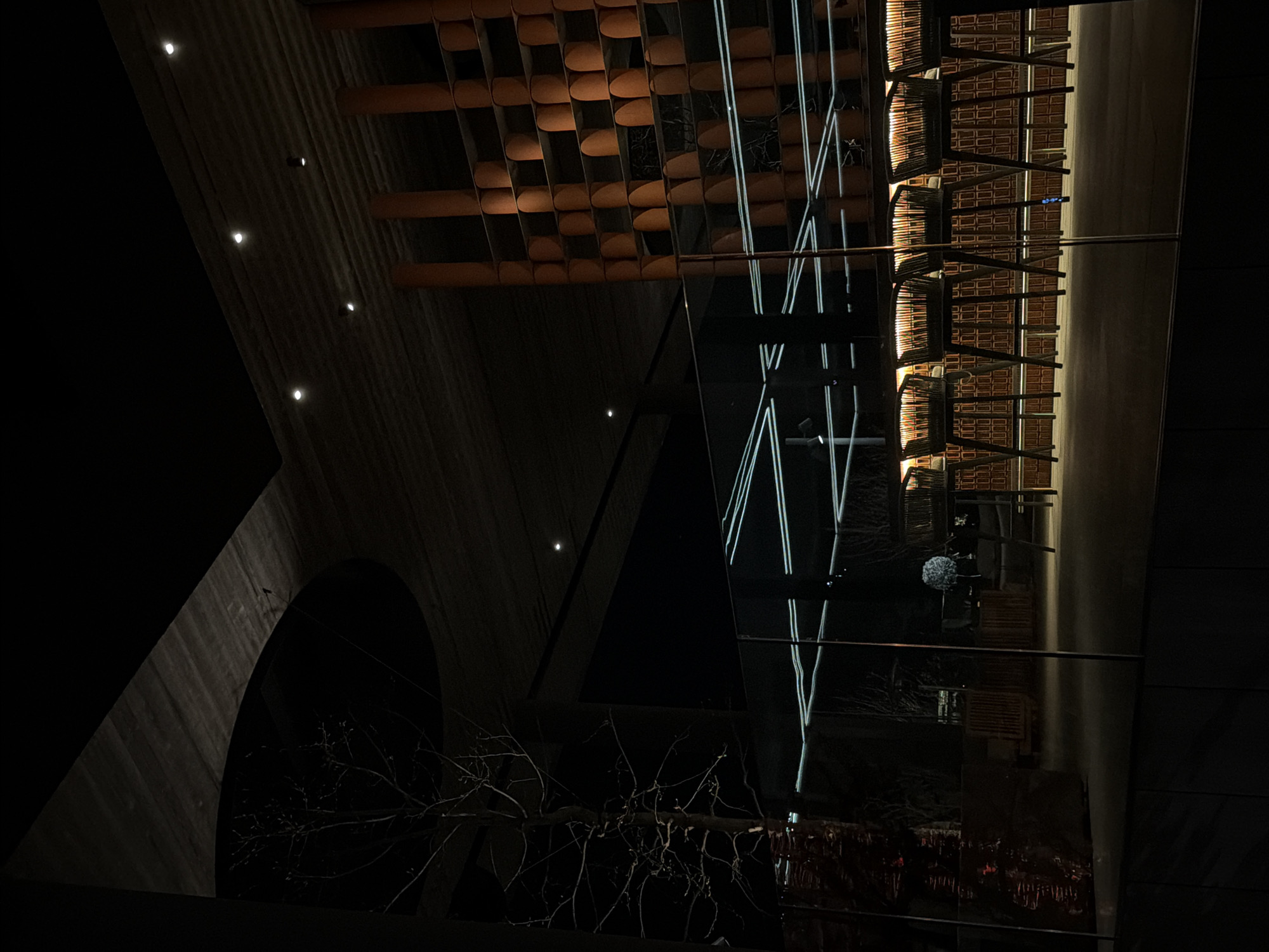 This night-time image captures a modern and elegantly designed architectural space, likely an interior or semi-interior area, located in Vynnyky, Ukraine. The scene is illuminated entirely by artificial lighting, creating a play of light, shadow, and strong reflections.
On the left, a large, dark, arched structure, possibly made of concrete or stone, curves into the darkness. A textured wall adjacent to this arch features a diagonal line of small, bright, white circular lights embedded within it.
The ceiling, particularly prominent in the upper and right portions of the image, displays diverse patterns. One section is composed of numerous repeating, light brown or orange-toned, semi-circular panels arranged in a grid, possibly decorative acoustic panels. Another section features multiple rows of distinctive, brush-like or woven light fixtures, emitting a warm, golden glow downwards.
A large, dark, reflective surface, likely a window or polished panel, dominates the central and right areas of the image. This surface reflects several prominent bright white lines, appearing as vertical and diagonal neon-like strips, which are likely external light sources or internal fixtures. The reflection also faintly reveals the silhouette of bare tree branches, suggesting a view to the outside through a window. A small, fuzzy, light-colored object is vaguely visible in one of the reflections.
No people or specific activities are present, lending a serene and almost abstract quality to the composition. The interplay of light and reflection emphasizes the intricate details and modern design of the building. There is no visible text in the image.