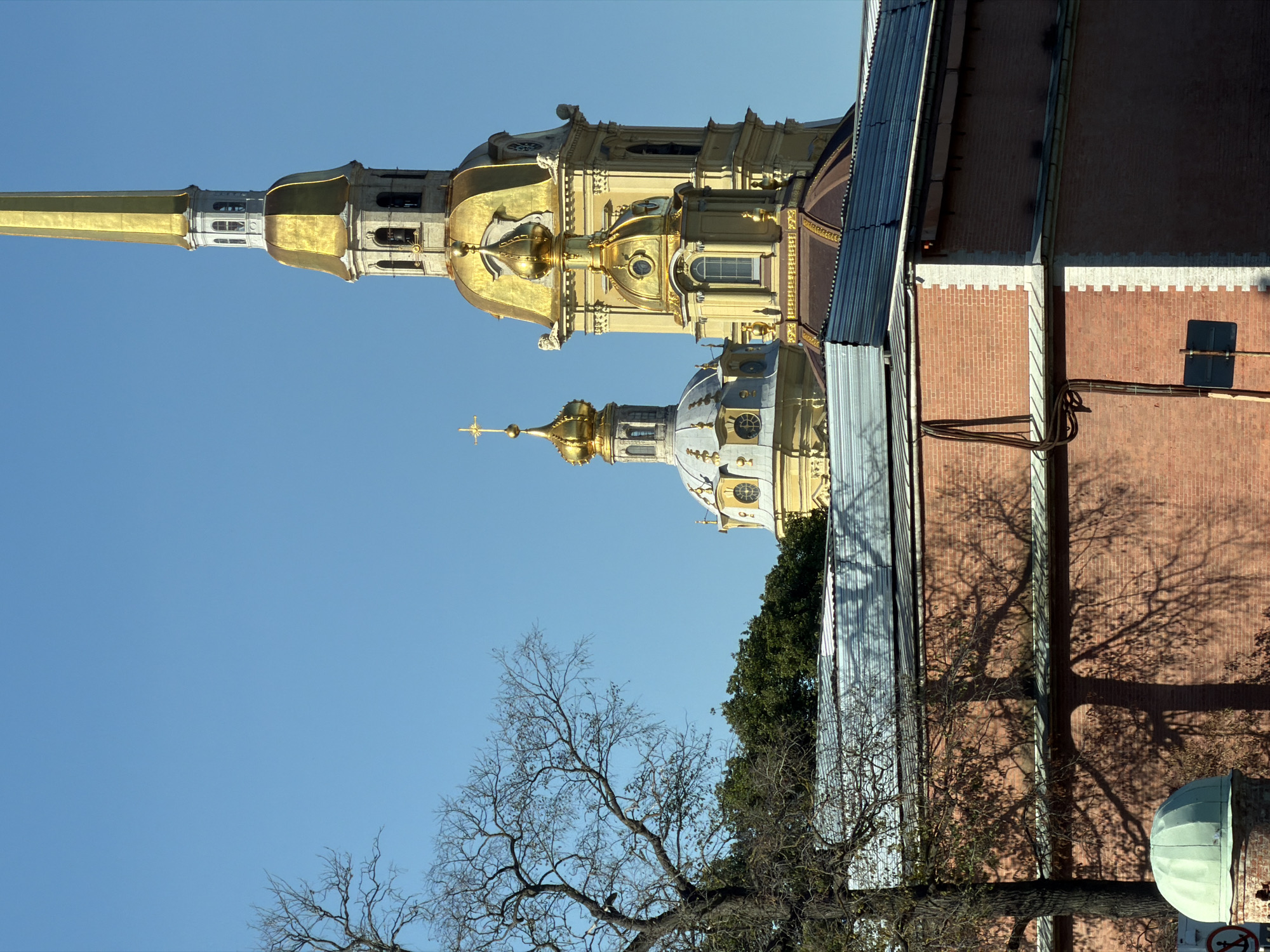 The image captures a close-up view of the Peter and Paul Cathedral in Saint Petersburg, Russia, under a clear blue sky. The prominent golden spires and domes of the cathedral dominate the upper right portion of the frame. In the foreground, a tall, bare tree stands to the left, its branches silhouetted against the sky. Below the tree and extending across the lower half of the image is a red brick wall with a corrugated metal roof running along its top. Shadows of the tree branches are cast upon the brick wall, indicating a sunny day. A small, green dome is visible in the lower left corner of the image, partially obscured by the brick wall. The architectural style suggests a historical religious structure, characteristic of Saint Petersburg.