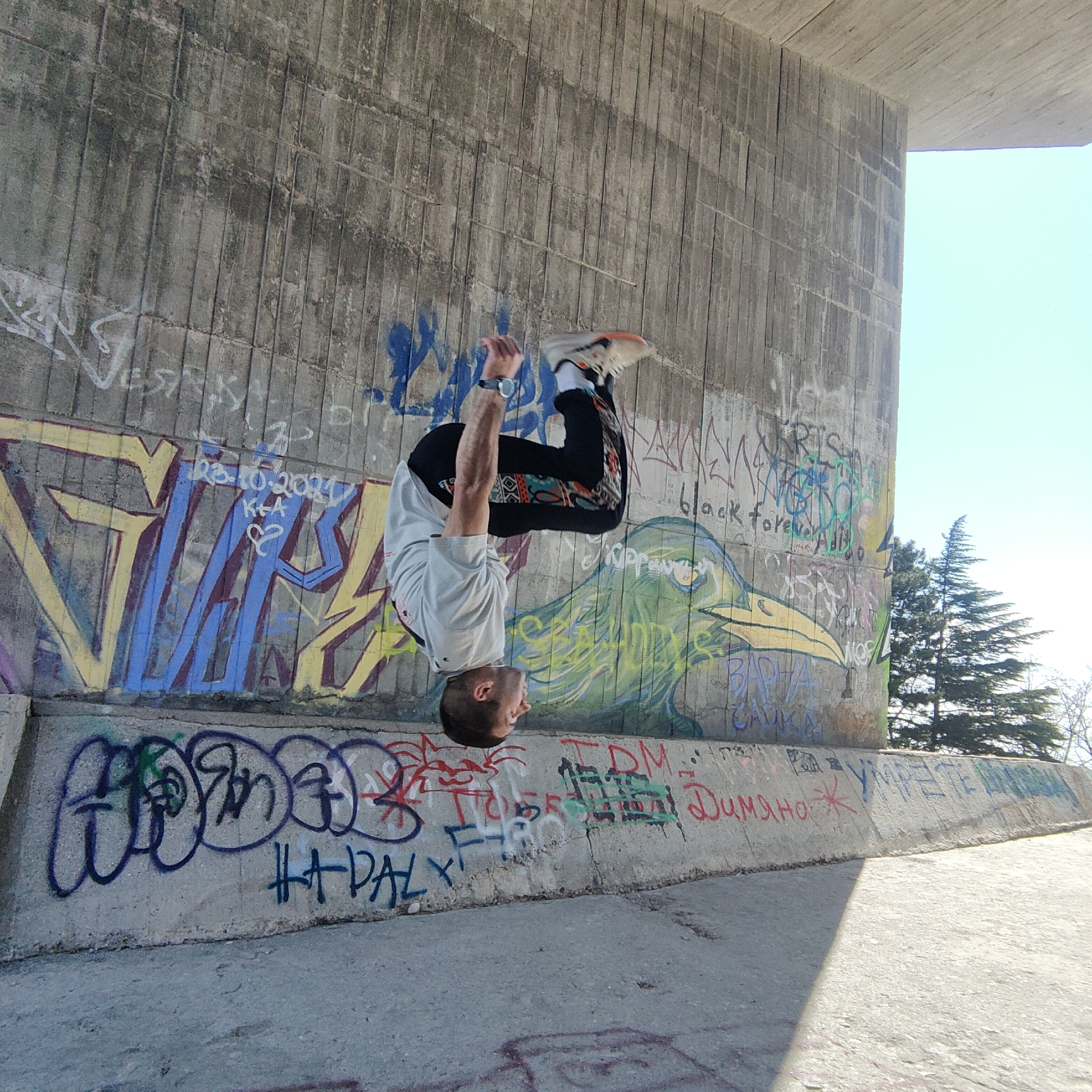 A man is captured mid-flip against a concrete wall covered in graffiti. He is wearing a light-colored t-shirt, dark pants with colorful patterns, and white athletic shoes with orange accents. His arms are bent, and he's wearing a wristwatch on his left wrist. The wall behind him is adorned with various graffiti markings, including a drawing of a green bird with a yellow beak, lettering, and other abstract designs. The environment includes a view of trees and a bright blue sky in the upper right corner. The location appears to be under a bridge or overpass, based on the concrete structure above and the graffiti on the walls. The city is Unknown, Unknown.