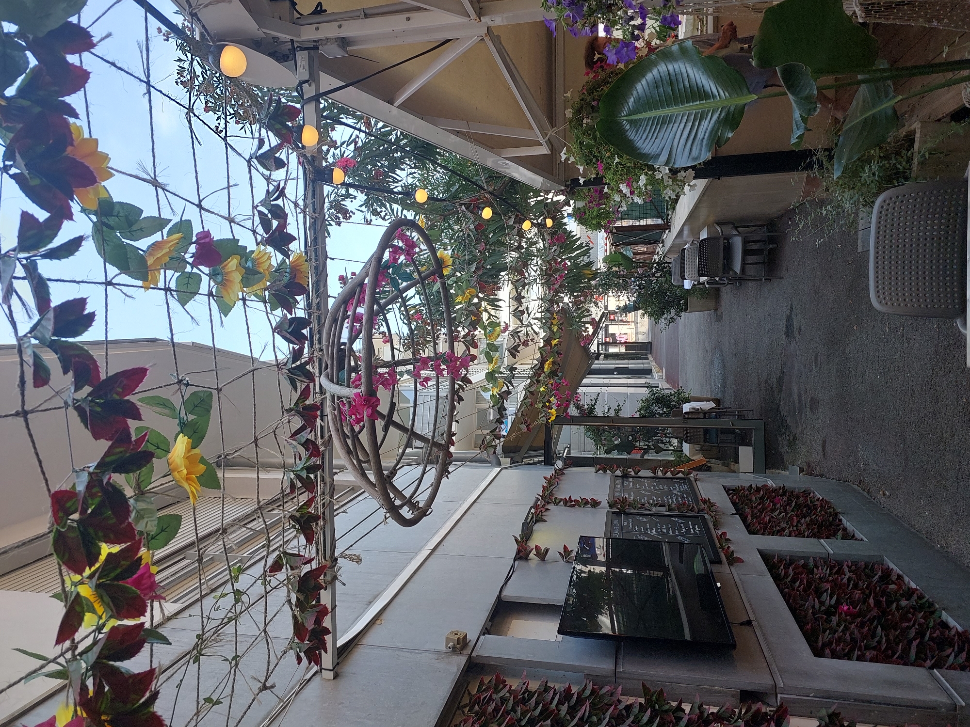 The image depicts an outdoor dining area that appears to be located in Antibes, France, likely on a narrow street or alleyway. The scene is decorated with artificial foliage and string lights overhead, creating a somewhat whimsical atmosphere.
On the left side of the alley, a building facade is visible, with two large blackboards mounted on the wall, likely serving as menus. Below the blackboards, there are built-in planters filled with dark red foliage. A flat-screen television is also mounted on the wall to the left of the blackboards.
The alleyway itself is paved with asphalt and leads deeper into the scene. On the right side of the alley, there is a covered seating area with tables and chairs. Several empty chairs are arranged at the tables, suggesting the area is either closed or not yet busy. A large, tropical-looking plant with broad green leaves is prominently featured in the foreground on the right. Further down the alley, more tables and chairs are visible, as well as potted plants and flowers.
The lighting suggests it is daytime, with natural light filtering through the overhead decorations and structures. The overall impression is that of a charming, potentially Mediterranean-style outdoor restaurant or cafe.