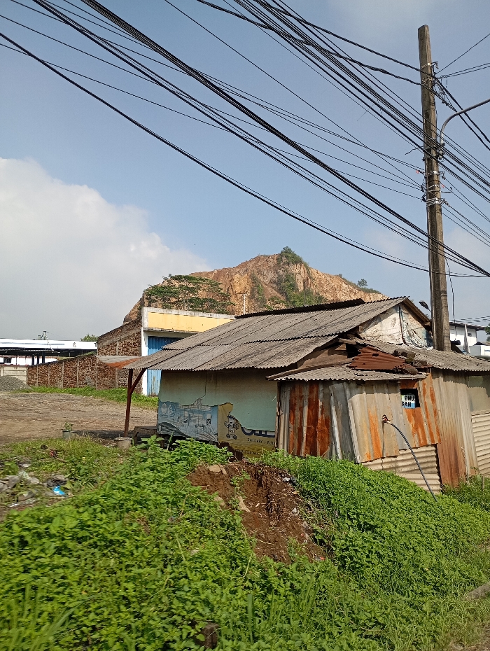This image depicts a static, outdoor daytime scene in Pataruman, Indonesia. The foreground features a dense expanse of vibrant green, low-lying vegetation covering an undulating earthen mound, with patches of exposed brown soil. In the midground, a weathered, single-story building with a grey corrugated metal roof is prominent. Its left section displays a light blue wall adorned with a faded, light-colored mural depicting an urban or industrial scene, with "SURYAMAS INDAH" text partially visible. A brown wooden support beam extends from this section to the left. The right portion of the building is constructed from various rusty, corrugated metal sheets, appearing patched. A small, dark-colored window or opening on this section contains white text, "SIMU BAII" (partially obscured). A dark hose or cable extends downwards from the building's right side.
Behind the main building, on the left, other structures are partially visible: a section of a yellow or light-colored building, a brown brick wall possibly belonging to an industrial compound, and further back, a white building with a dark roof and another structure with a blue wall. A pile of grey material, possibly gravel, is situated near a brown fence or barrier.
The background is dominated by a large, reddish-brown, exposed earth and rock formation, resembling a hill or quarry, with visible texture from excavation. Sparse green trees and vegetation are present on its slopes and crest. The sky above is clear light blue with a few white cumulus clouds, primarily on the left. Numerous thick, black electrical or communication cables crisscross the upper portion of the frame, converging towards and extending from a tall, grey concrete utility pole positioned on the far right. The scene is brightly illuminated by natural daylight. No people or animals are present.