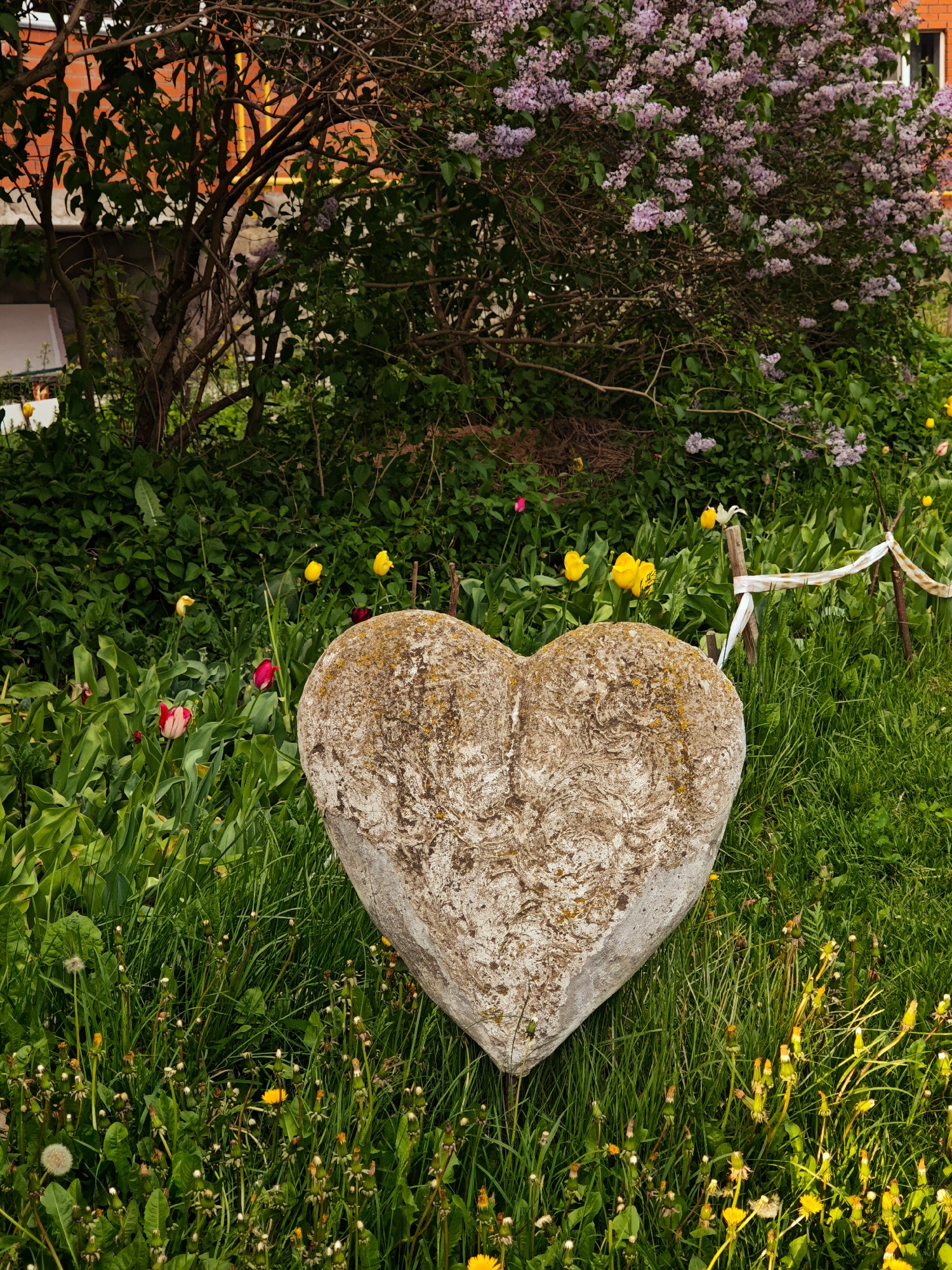 A stone heart stands in a lush, overgrown garden. The heart is light gray with mottled beige and brown patches. Around the heart, there is a mix of grass, dandelions, and tulips in shades of yellow and red. In the background, there is a lilac bush with purple flowers, growing in front of a brick building. A small white ribbon is tied to two sticks, potentially marking or protecting the area. The image captures a scene in an unidentified location.