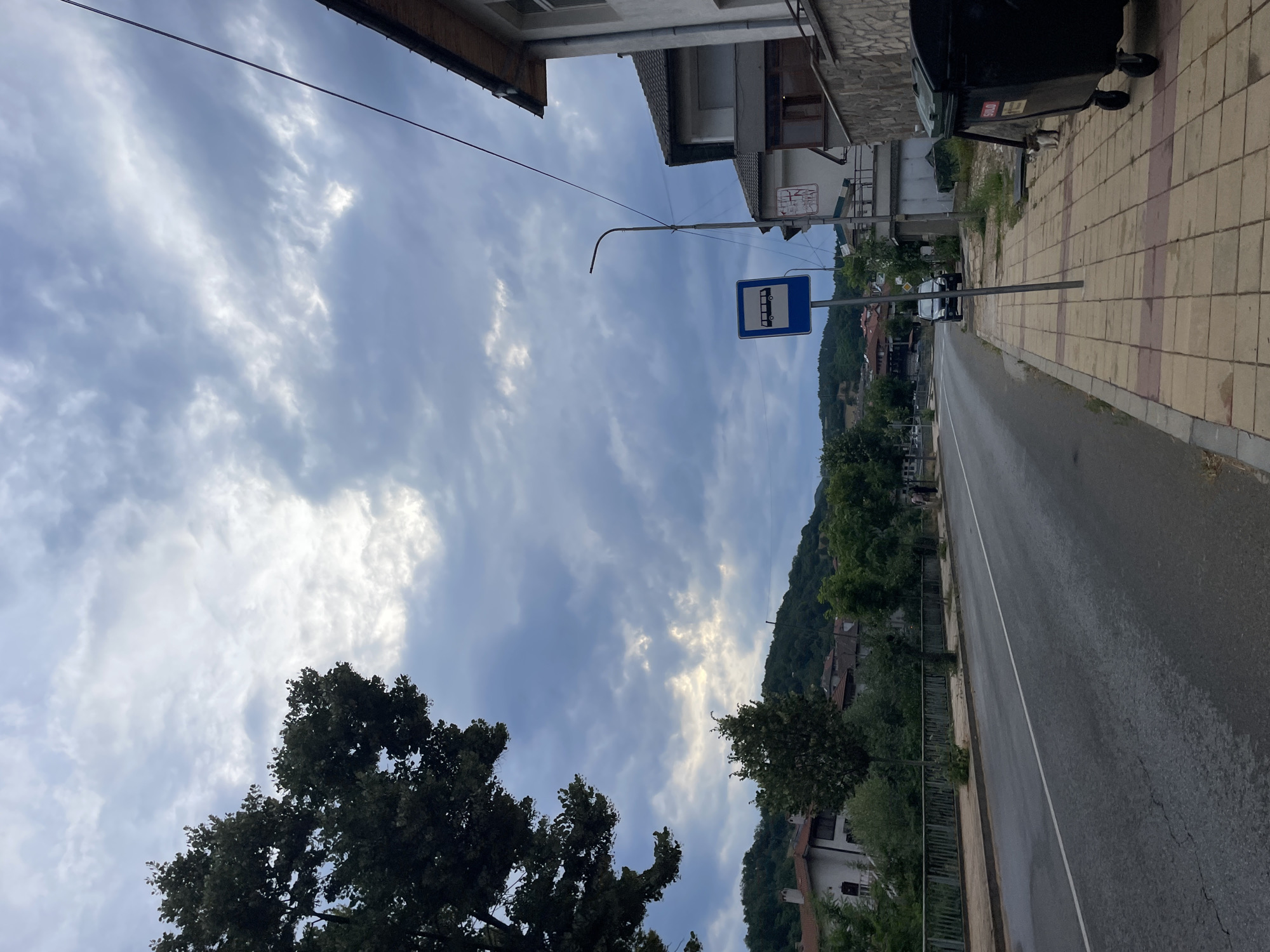 The image depicts a street scene in Zlatograd, Bulgaria, under a cloudy sky. A paved road runs diagonally from the bottom left to the middle of the frame. To the left of the road, there is a sidewalk with a metal railing bordering a body of water or a lower-lying area. Beyond the railing, houses with red-tiled roofs and lush green trees are visible on a hillside.
On the right side of the road, there is a sidewalk paved with square tiles in shades of yellow and brown. A blue bus stop sign with a white bus icon is prominently placed on a pole. Adjacent to the sidewalk, a large black dumpster with wheels is situated. A small, grey and white cat is visible near the dumpster. Further down the sidewalk, a light pole is present. The background on the right shows buildings with grey and white facades and tiled roofs. A dark-colored car is parked on the street in the distance.
The overall impression is a quiet, everyday scene in a town or village, with a mix of residential buildings, infrastructure, and natural elements. The cloudy sky suggests a potentially overcast or approaching weather condition.