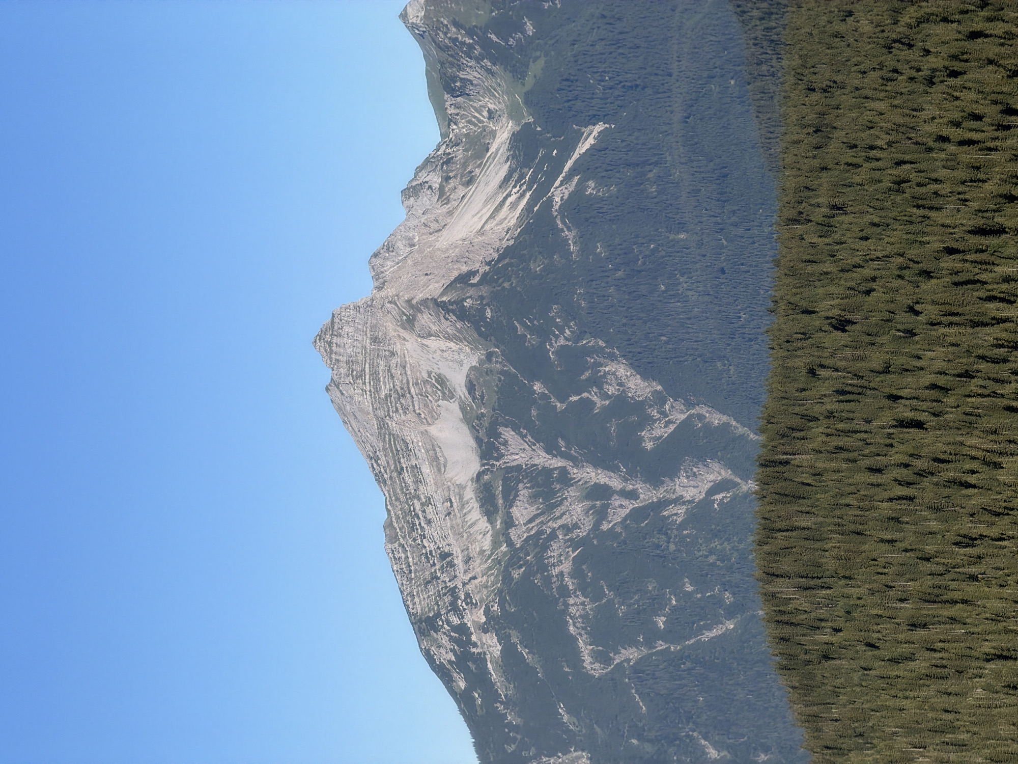The image depicts a majestic mountain range under a clear blue sky. In the foreground, a dense forest of evergreen trees blankets the lower slopes of the mountains. The trees are a deep green and appear to be tightly packed, creating a textured carpet of foliage.
Rising behind the forest are the rugged, rocky peaks of the mountains. The mountains exhibit layers of sediment and exposed rock, with dramatic slopes and sharp ridges. Some areas show scree or weathered rock faces, with lighter grey and white tones contrasting with the darker greens of the forested areas. There are visible gullies and ravines carved into the mountain sides, suggesting water erosion over time.
The sky above is a vibrant, cloudless blue, providing a stark and expansive backdrop to the mountainous landscape. There are no visible man-made structures or human figures in the image, suggesting a natural, undeveloped environment. The lighting indicates it is daytime, likely mid-morning or afternoon, with the sun illuminating the mountain faces. The overall scene conveys a sense of natural grandeur and remoteness. The context provided that this is the city of Grainau, Germany, places this natural spectacle within a known geographical location known for its alpine scenery.