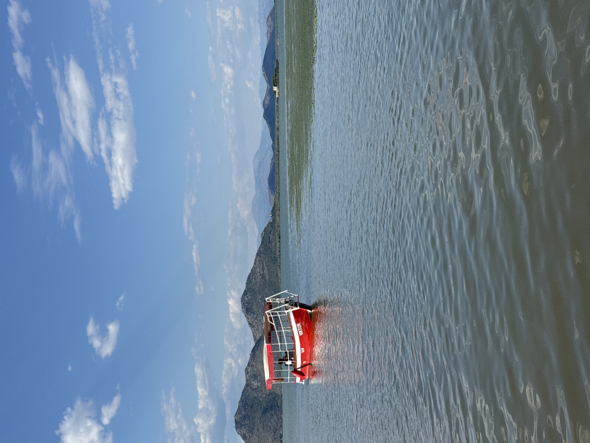 A red passenger boat named "VIKTOR" is anchored on a body of water, likely Lake Skadar, near Seoca, Montenegro. The boat has a white canopy and railing, with a person visible inside. In the background, there are rolling green hills and mountains under a bright blue sky with scattered white clouds. A patch of aquatic vegetation is visible on the water's surface in the middle distance, and a building is situated on a small island on the right side of the frame. The water is calm with gentle ripples reflecting the sunlight.