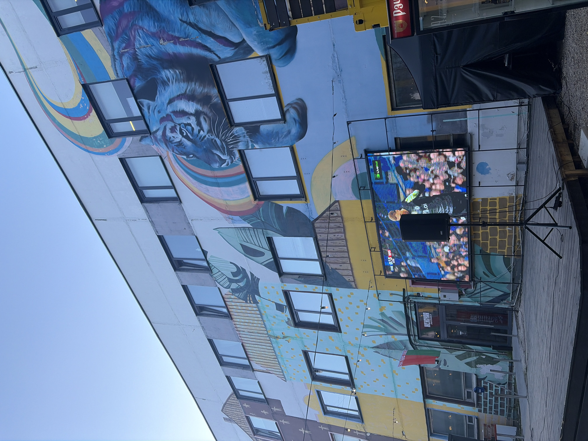 The image shows a building in Minsk, Belarus, likely a restaurant or bar based on the signage in Russian above the door. The building has a mural with an image of a tiger and tropical leaves, and a large screen is set up outside showing a sports game. A Belarusian flag is attached to a pole near the entrance of the restaurant. The sky is clear, indicating a bright day.