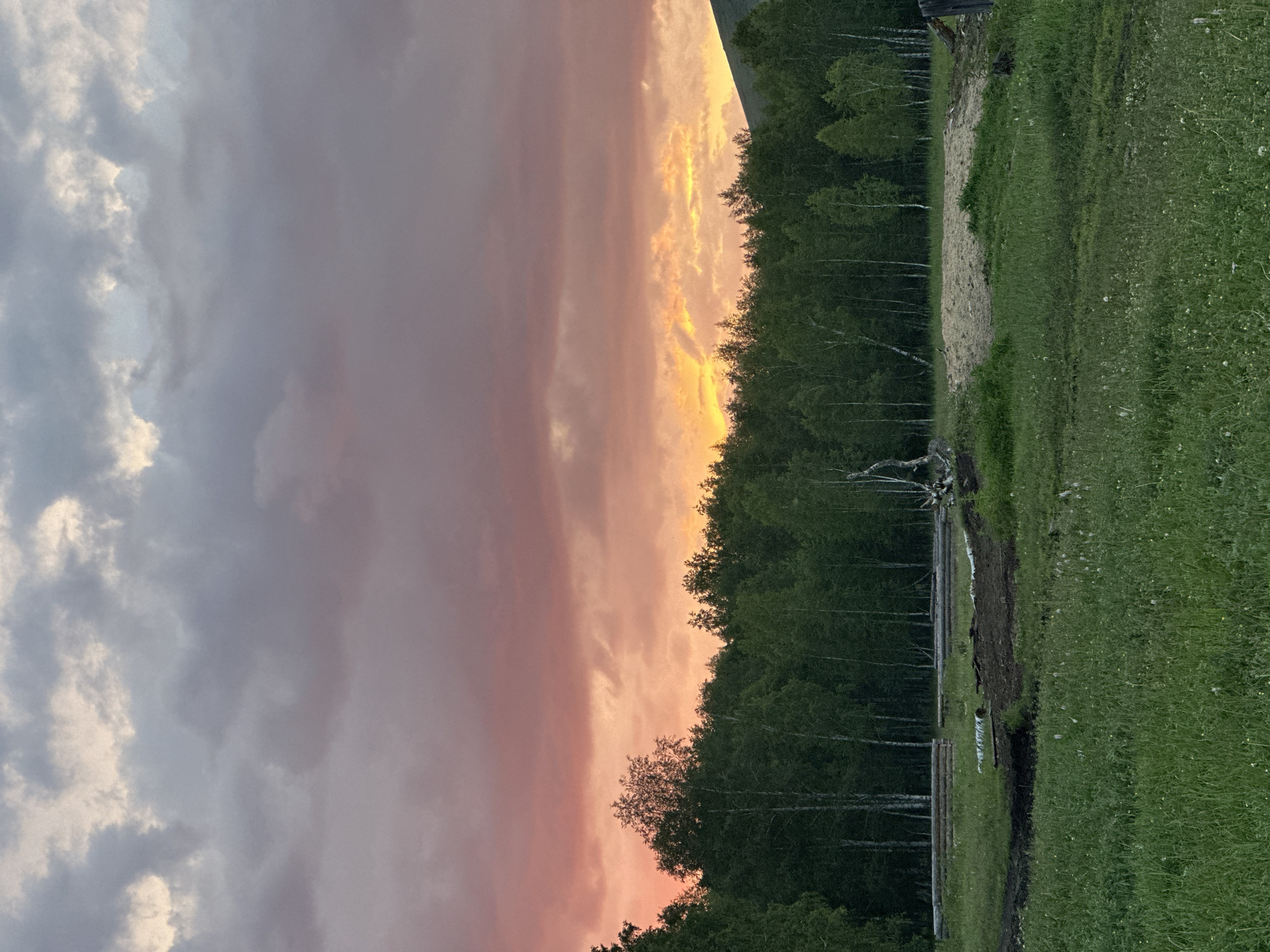 The image depicts a natural landscape during sunset. The sky is filled with dramatic clouds, transitioning from a soft pink and orange glow near the horizon to darker, muted grays and purples overhead. A dense line of green trees forms a horizon across the middle of the frame, with the tops of some trees reaching into the lower part of the colorful sky. In the foreground, a grassy field stretches out, with some patches of disturbed earth and construction materials, including logs and what appears to be a pile of sand or soil. The overall impression is one of a rural or undeveloped area at dusk. There are no people visible in the image.
