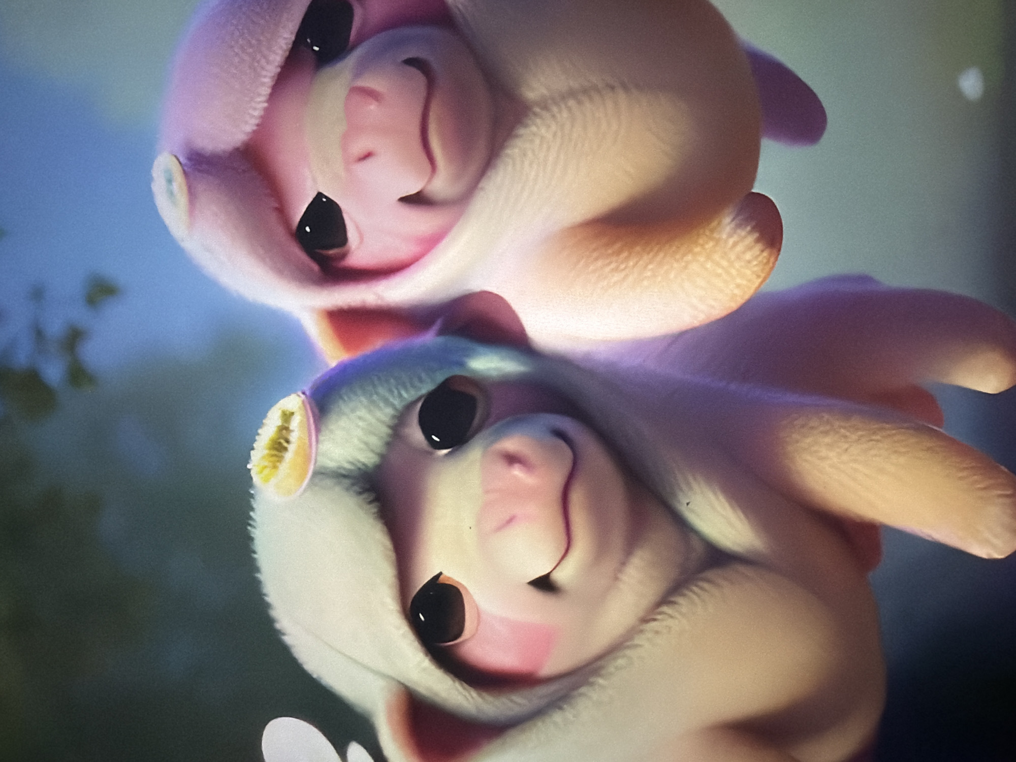 The image shows a close-up, digitally rendered illustration of two stylized, pig-like creatures wearing hoods. The creature on the left has a white hood with a yellow and white circular detail on top, and large dark eyes with pink blush marks on its cheeks. The creature on the right has a pink hood and similar large dark eyes. Both creatures have pink snouts and are smiling. The background is blurred and appears to be a natural outdoor setting with dark green and blue tones, possibly suggesting a forest or park. There is no discernible location in Kyiv, Ukraine.