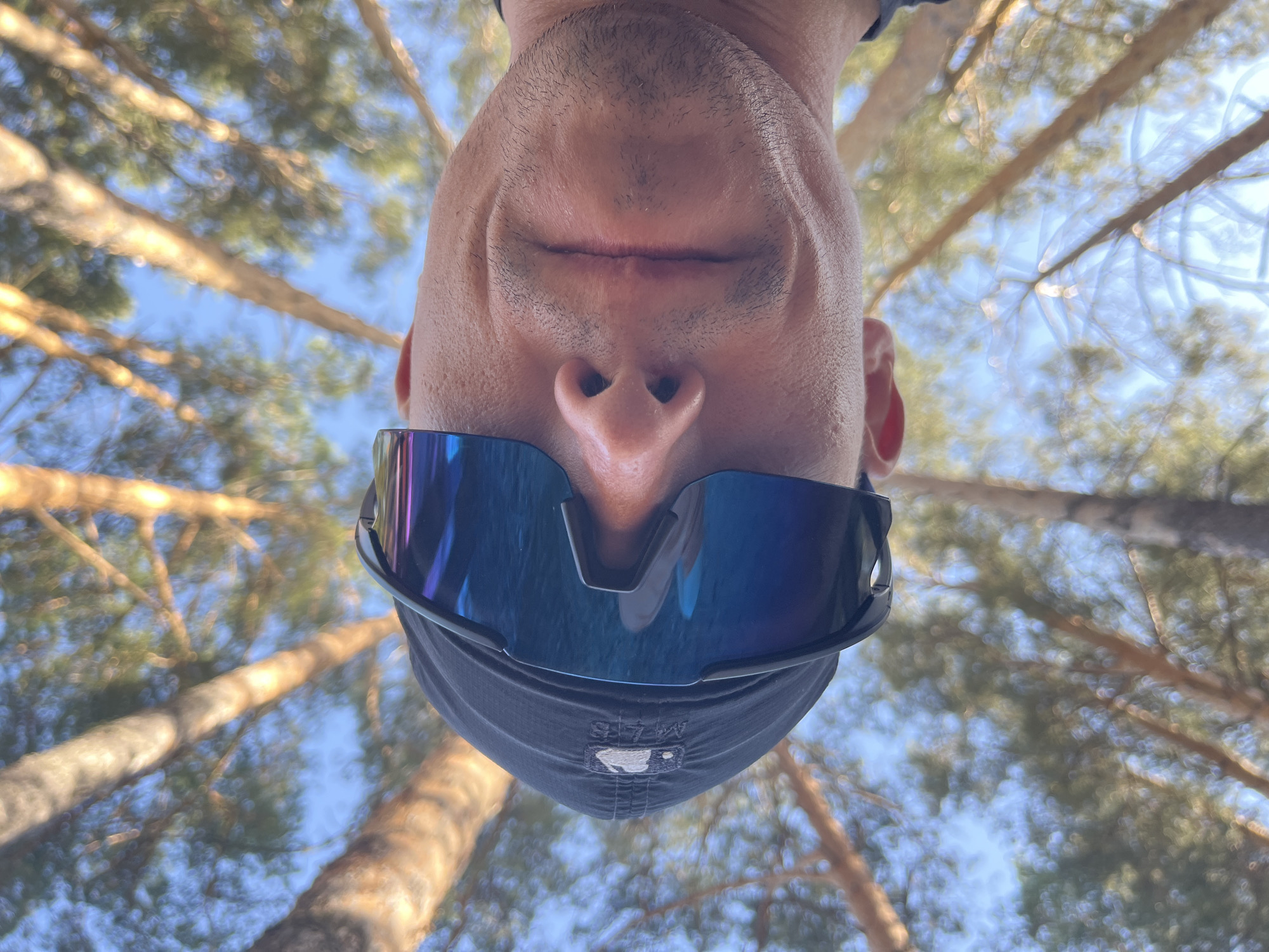 A man in a black baseball cap and blue reflective sunglasses is positioned upside down, taking a selfie from a low angle. The background reveals tall trees with tan trunks and green foliage against a blue sky. The man’s face is close to the camera, showing his lips, nose, and the brim of his cap. The location is likely a wooded area in the city of Chaikovsky, Russia.