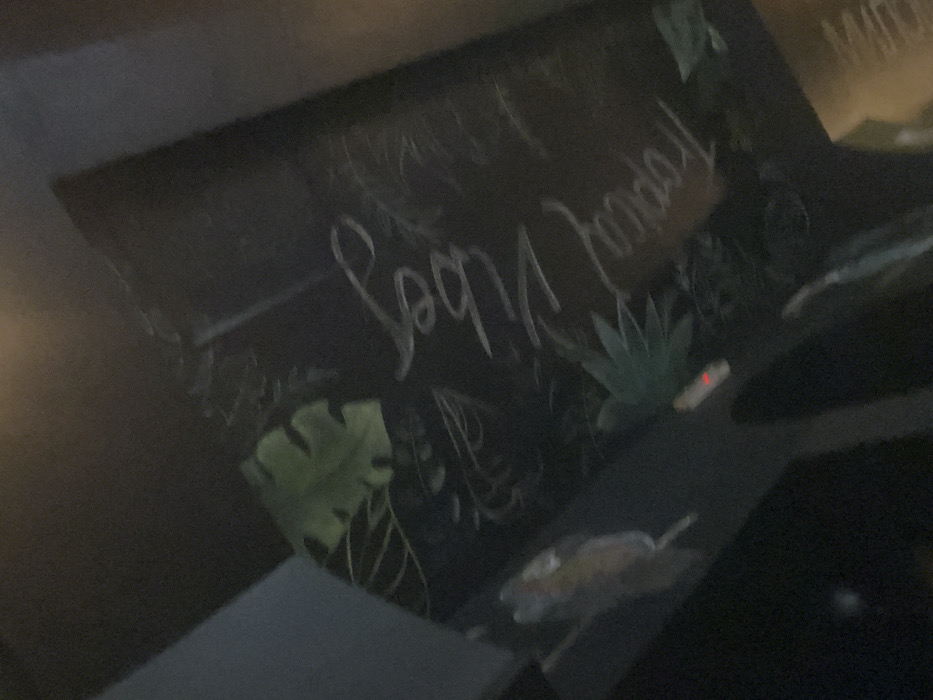 A sign reads "Tropical Vibes" in cursive script, adorned with tropical foliage illustrations. A monstera leaf is visible on the left, and an agave plant on the upper right. The lighting is dim, casting shadows that obscure some details. The sign appears to be positioned at an angle, with the bottom portion closer to the viewer.