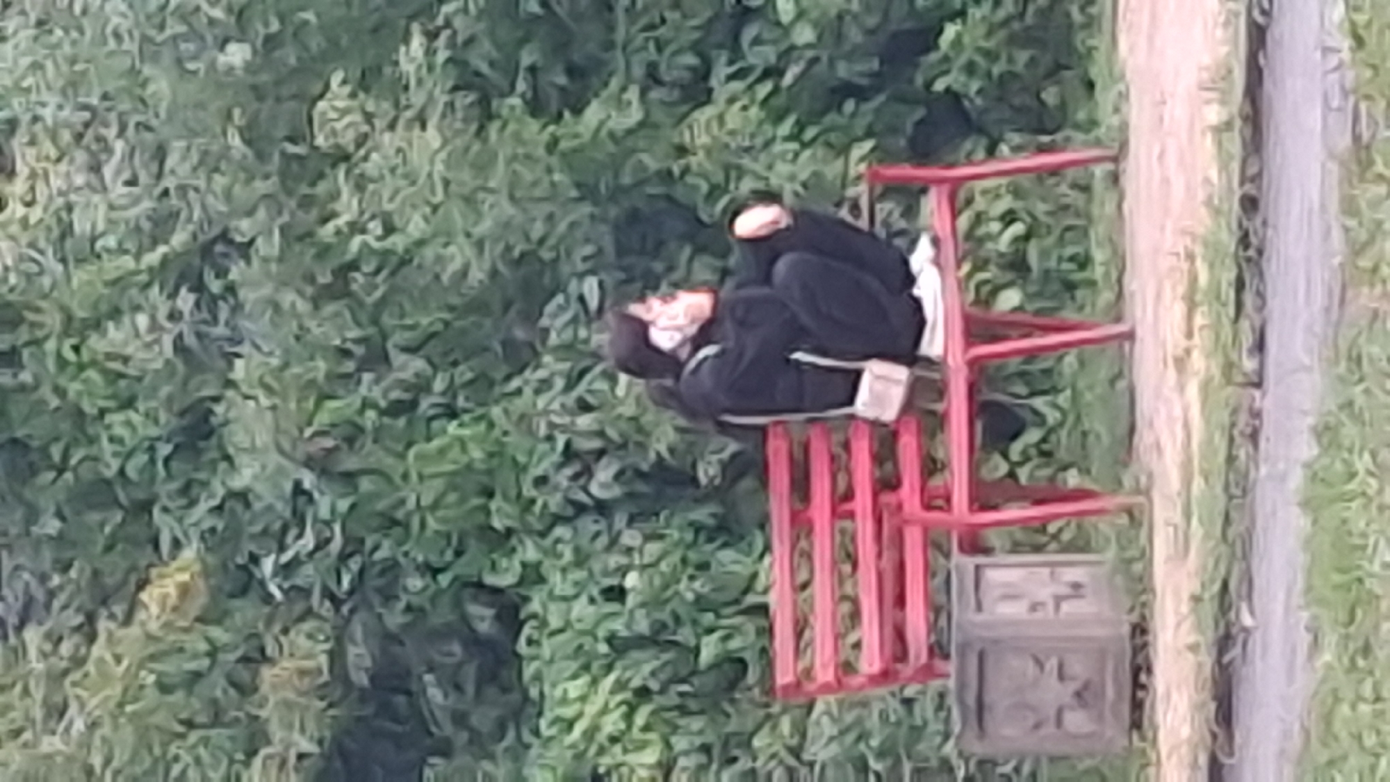 A person is squatting on a bright red metal park bench, facing right and talking on a mobile phone. The person is wearing dark clothing, including a hooded jacket, dark pants, and white sneakers. A small, light-colored purse is hanging from their right shoulder. The bench is situated on a paved walkway in front of a dense green hedge or trees. To the left of the bench is a square, grey planter with decorative carvings. The ground is a mixture of paved areas and grass. The overall scene appears to be an outdoor public space, possibly a park, in Novosibirsk, Russia.